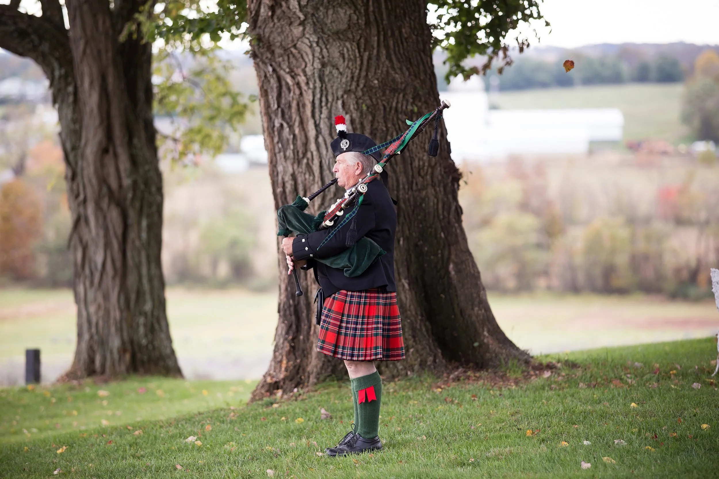 Bagpiper beneath tree.jpg