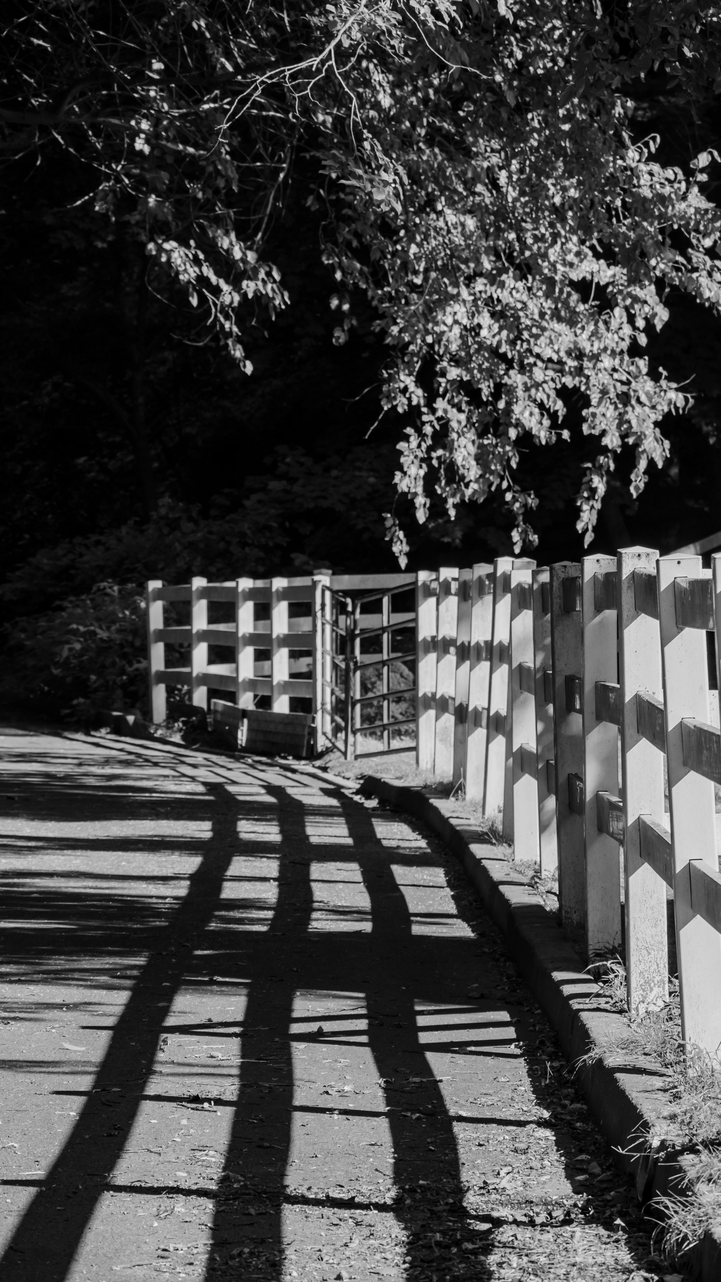 shadows and pathway near barn b-w - vc park.jpg