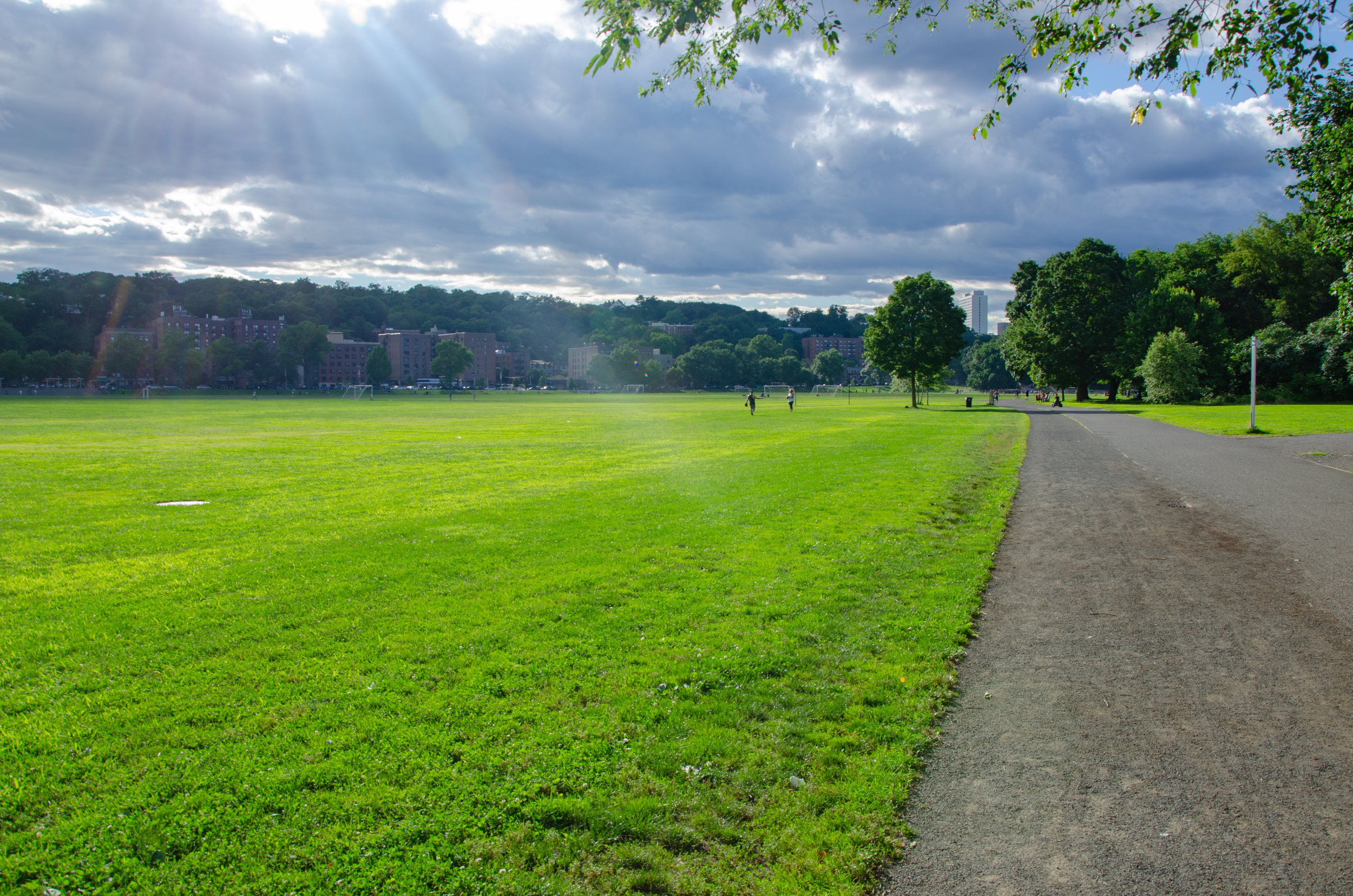 path and field - vc park.jpg
