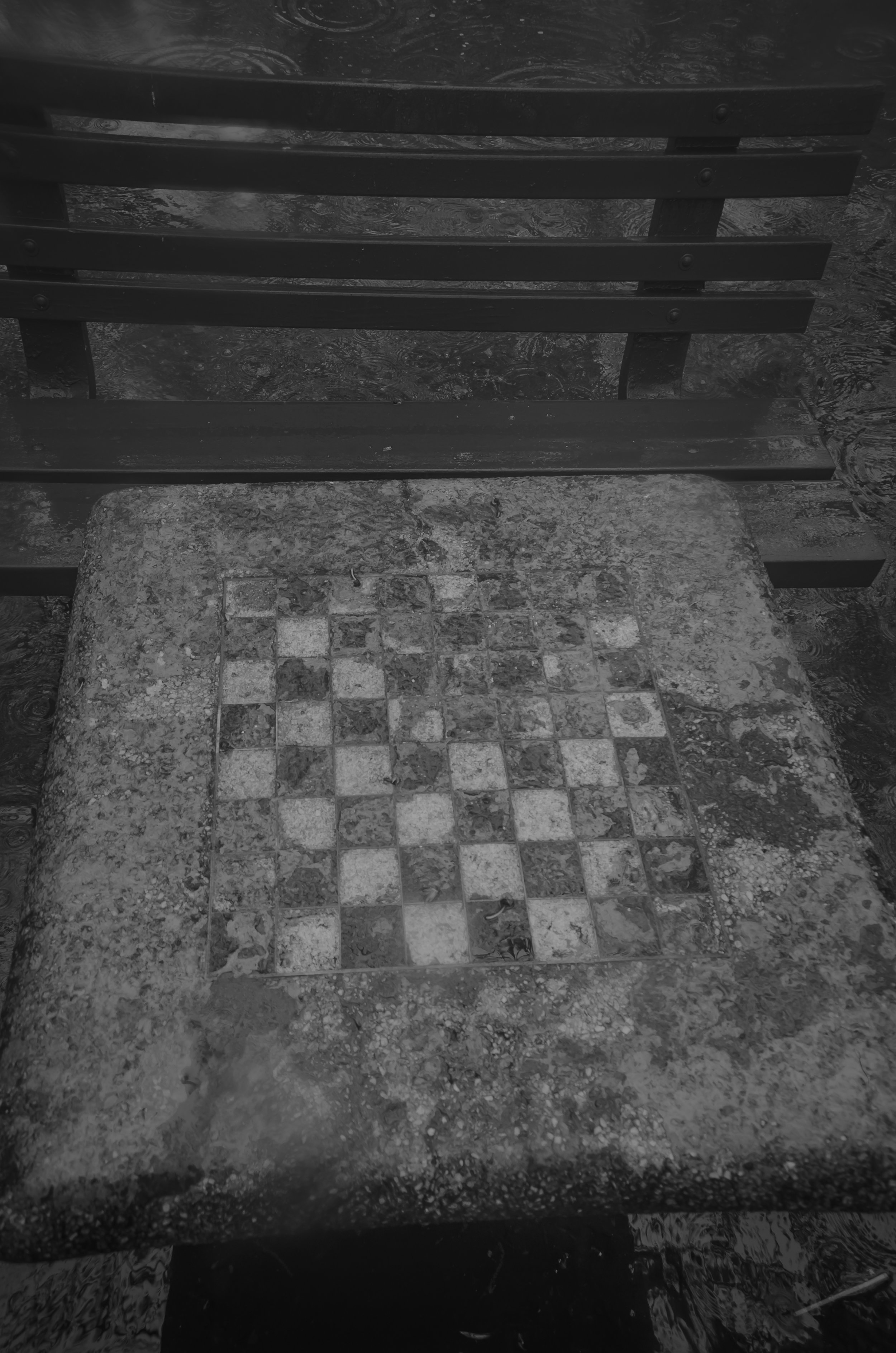 chess in the rain vert.jpg