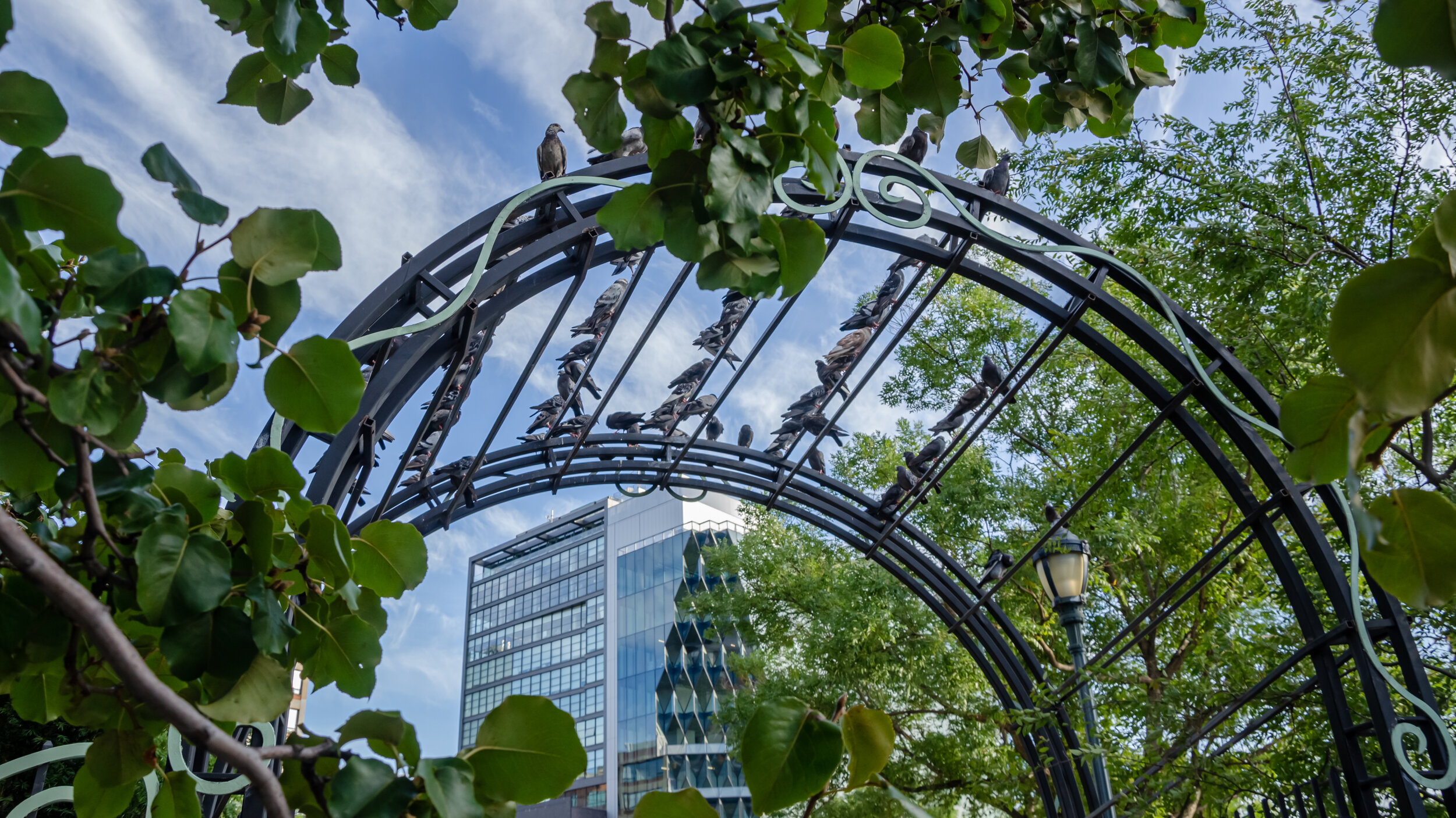 hudson park with building.jpg