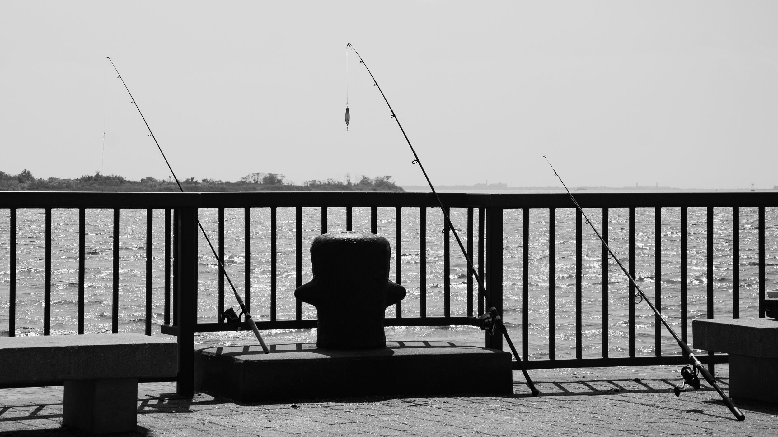 b-w fishing poles_.jpg