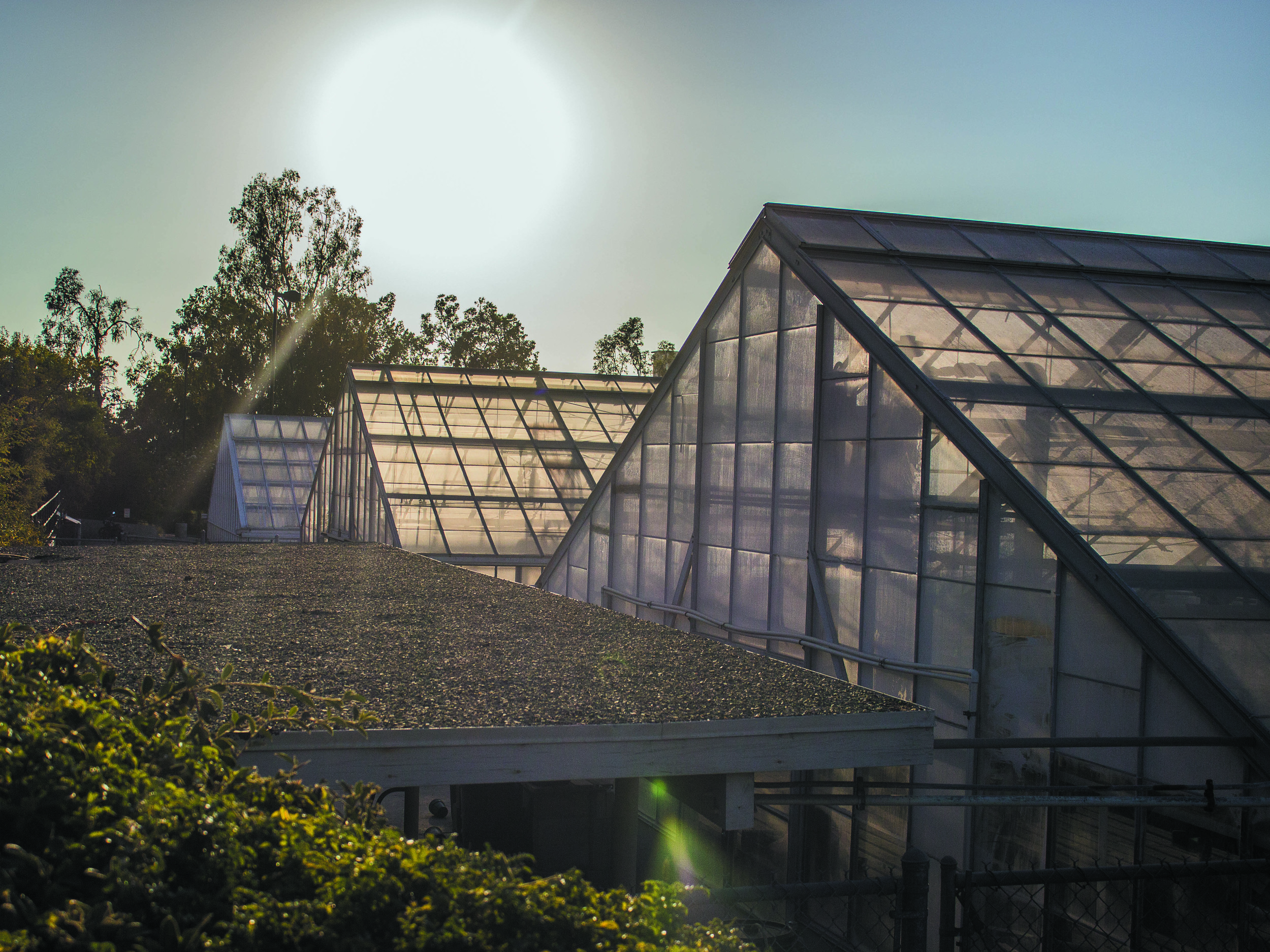 Greenhouses providing sustainability on the University Riverside Campus. Photo taken Aug. 5 by Michelle Caldera.
