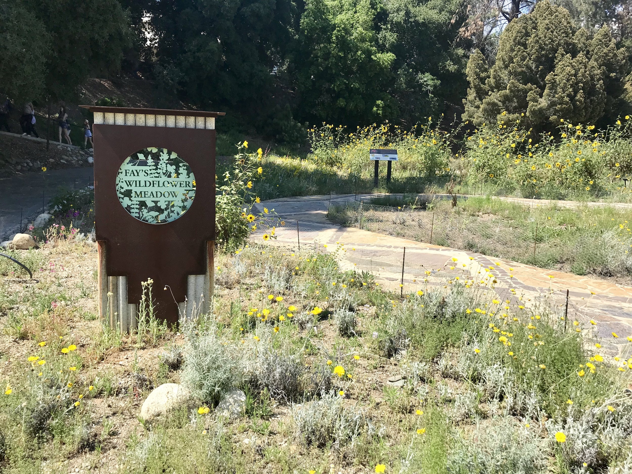 Visiting The Rancho Santa Ana Botanic Garden The Breeze