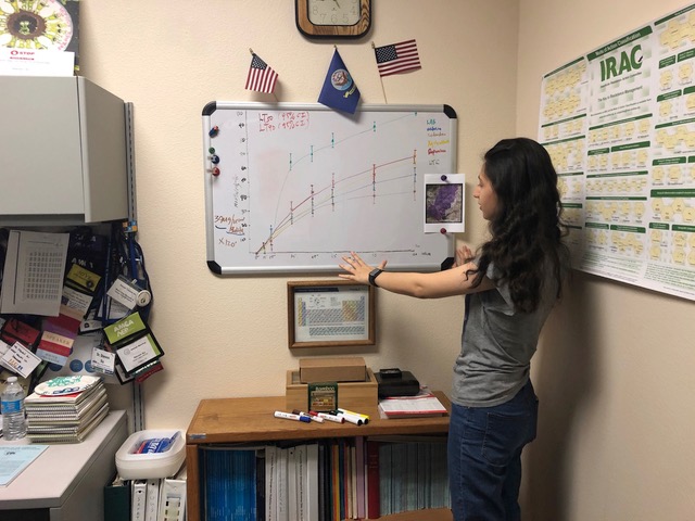 Ainaz studies pyrethroid resistance.