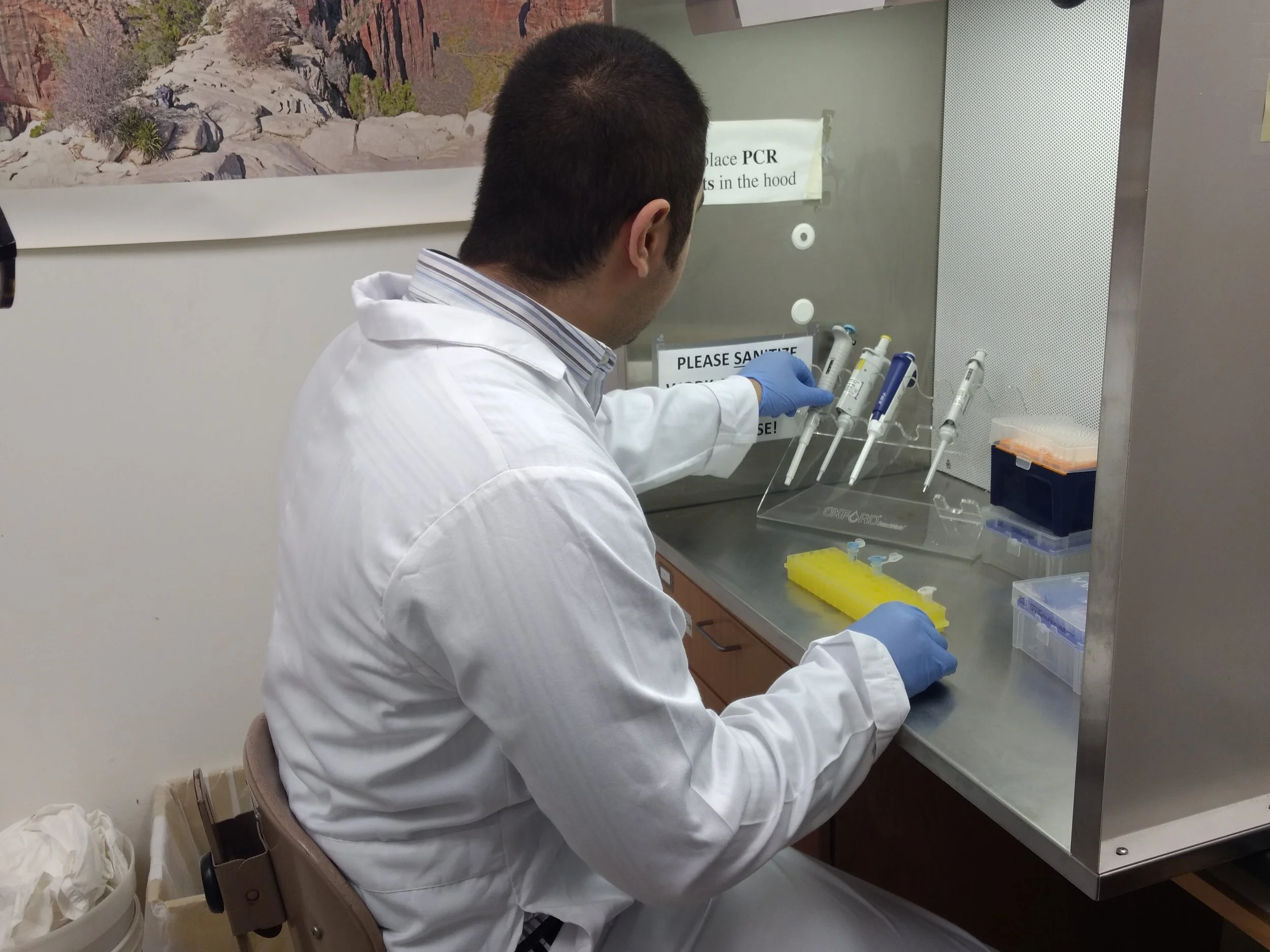 Nasser incubating specimens.