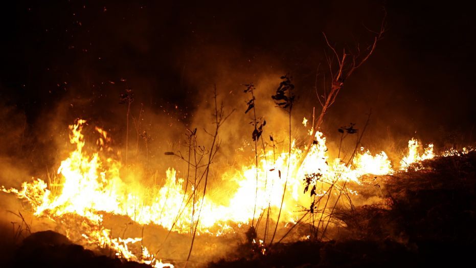 News Roundup 08/28/19