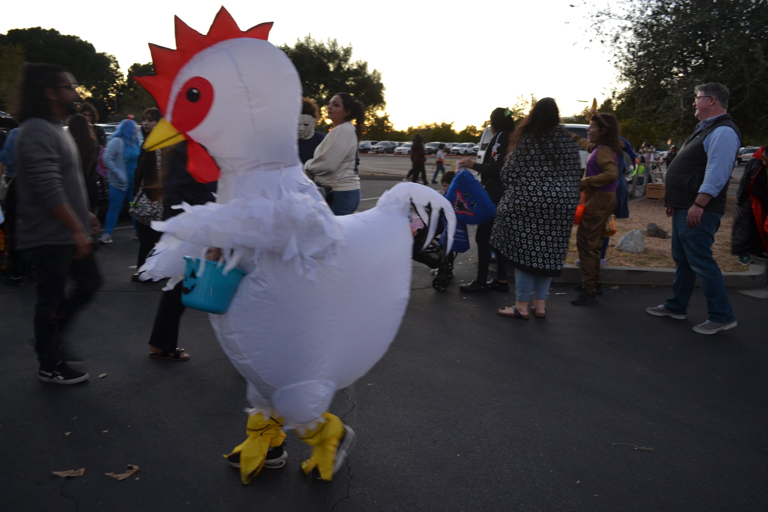 Trick or treater dressed as a chicken retrieves candy. 