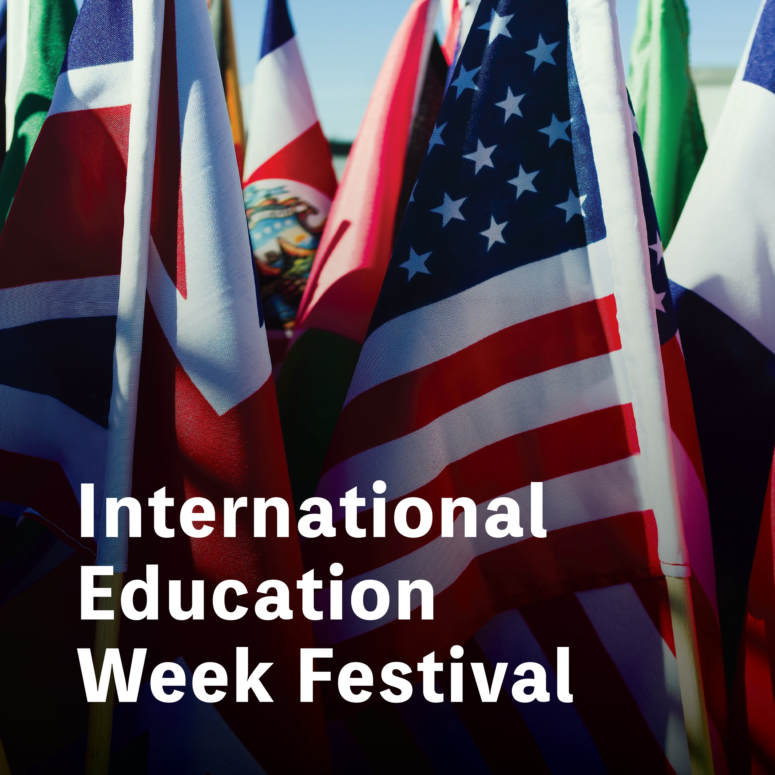 International Education Week Festival