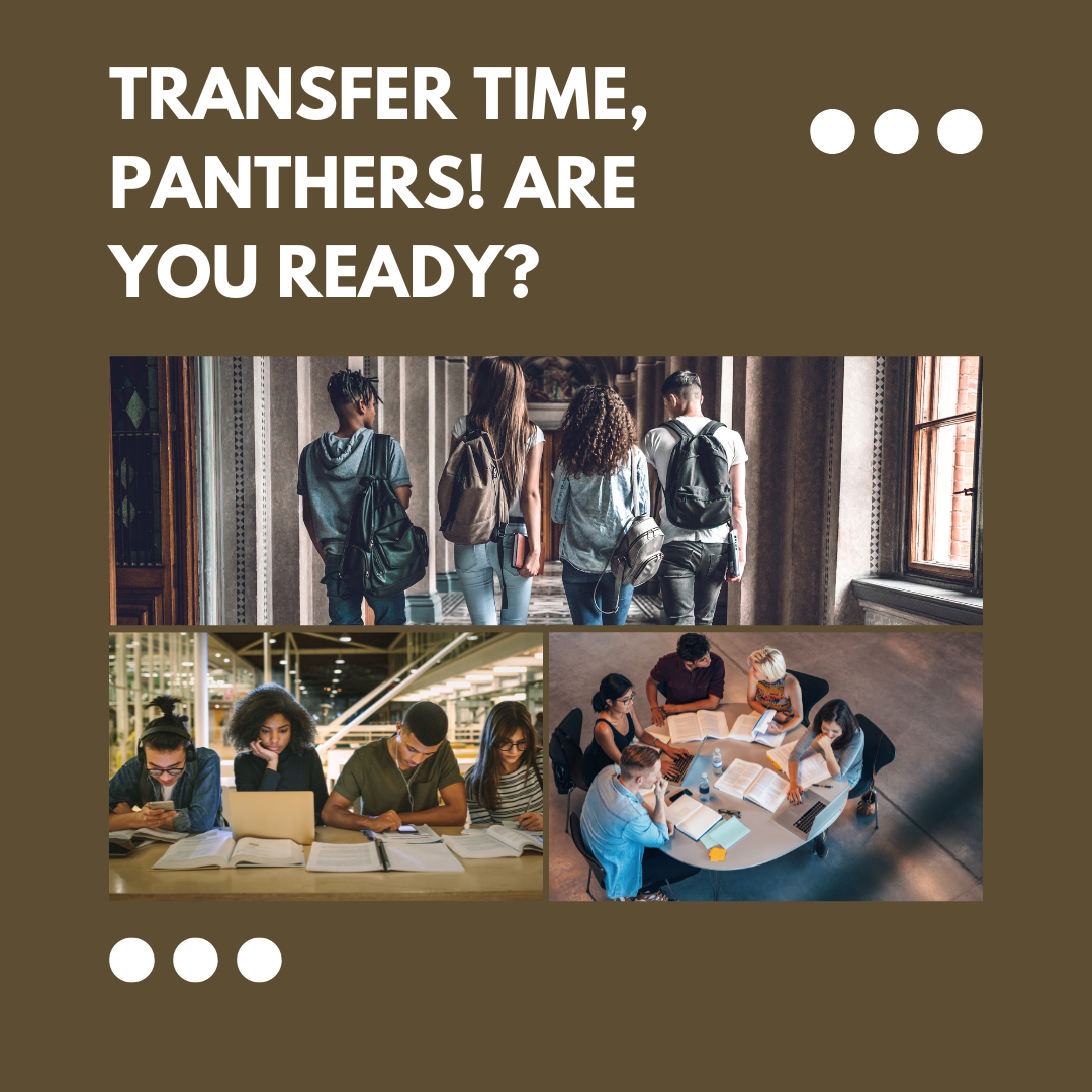 Transfer Time, Panthers! Are You Ready?