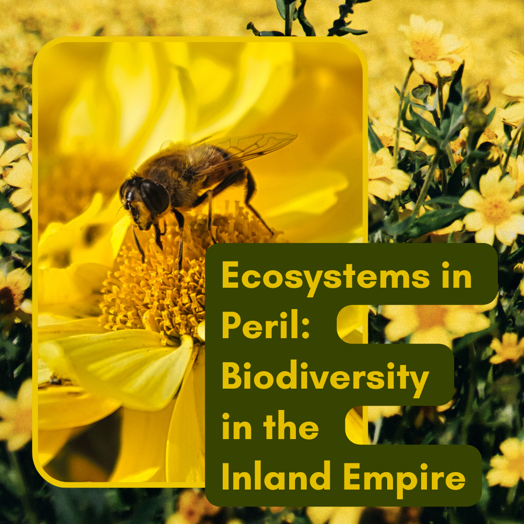 Ecosystems in Peril: Biodiversity in the Inland Empire