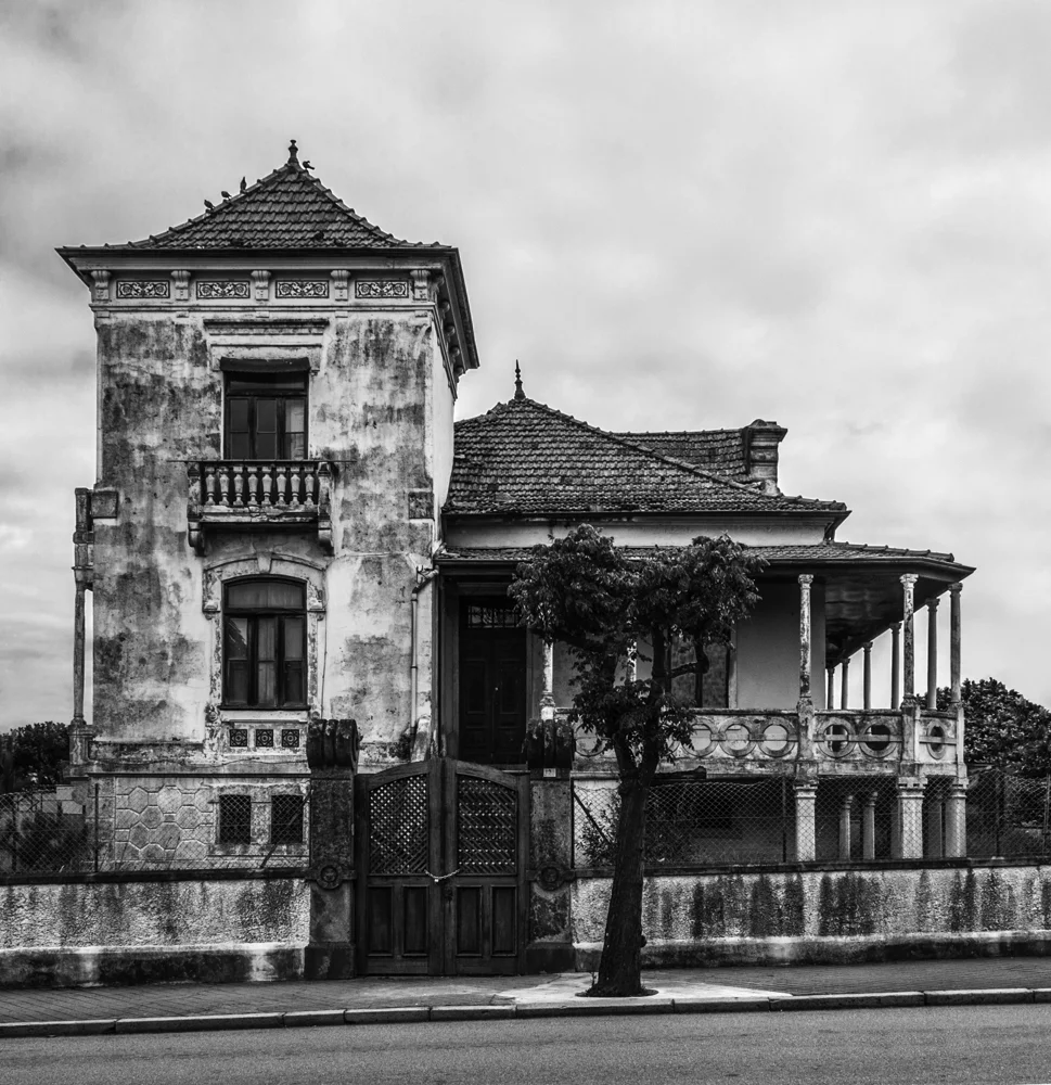 DSC_0681Crop.jpg