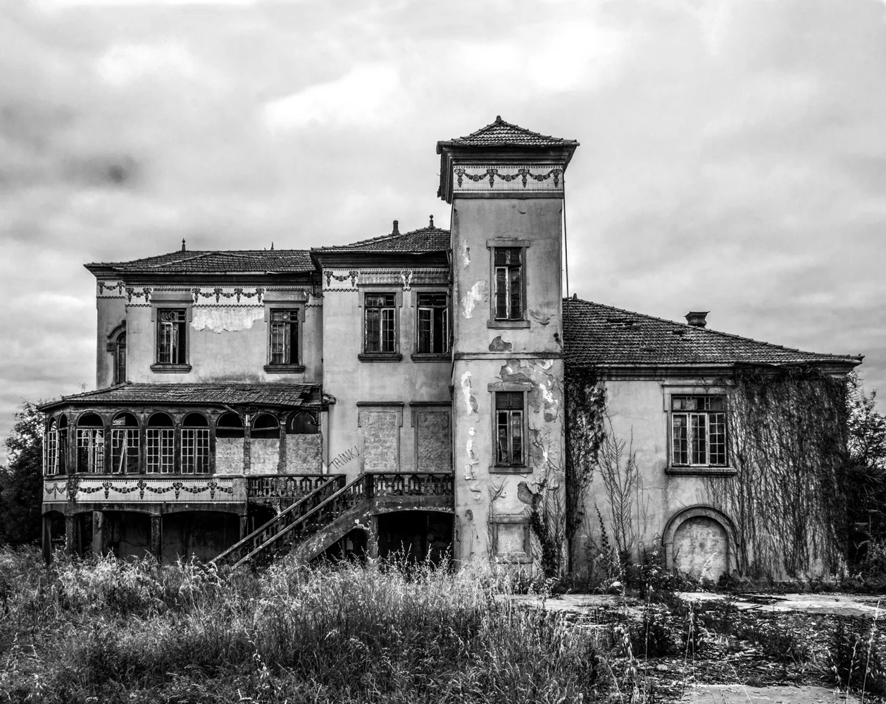 DSC_0714Crop-2.jpg