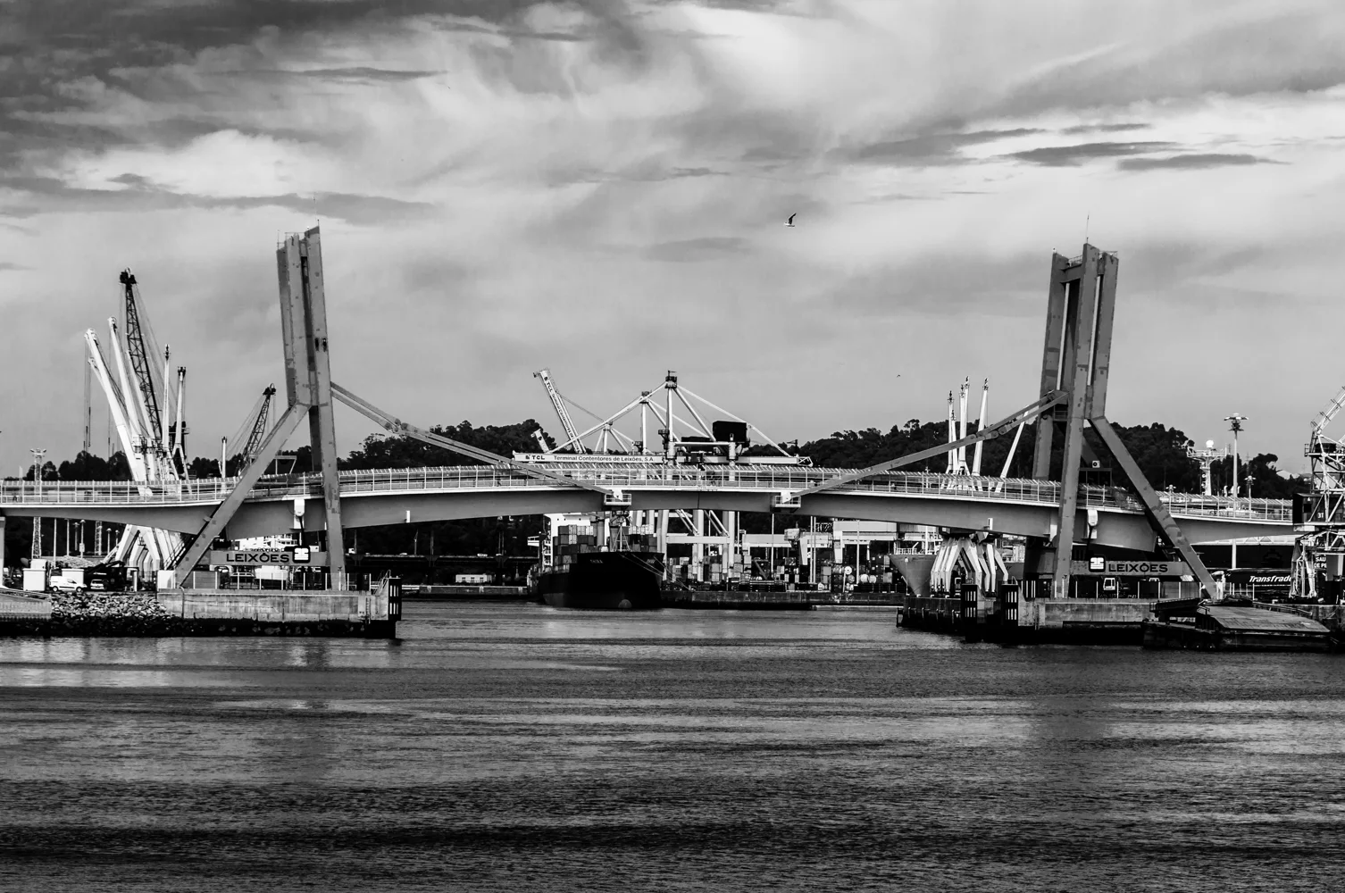 DSC_6372.jpg