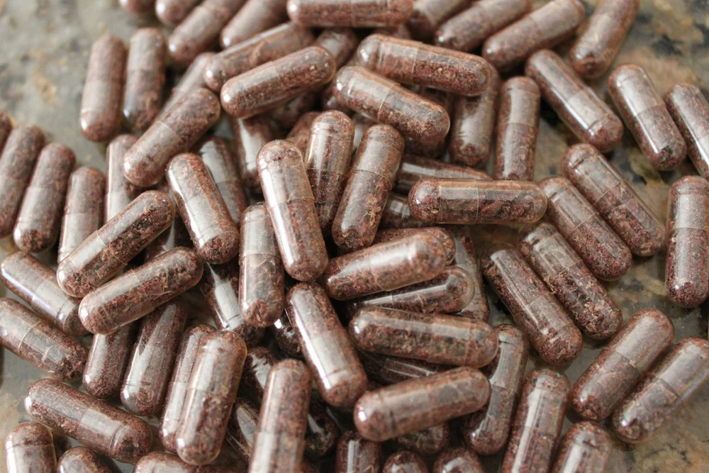 Placenta 101: FAQ About Placenta Encapsulation