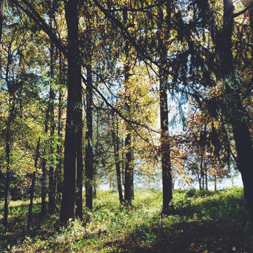 03.jpg