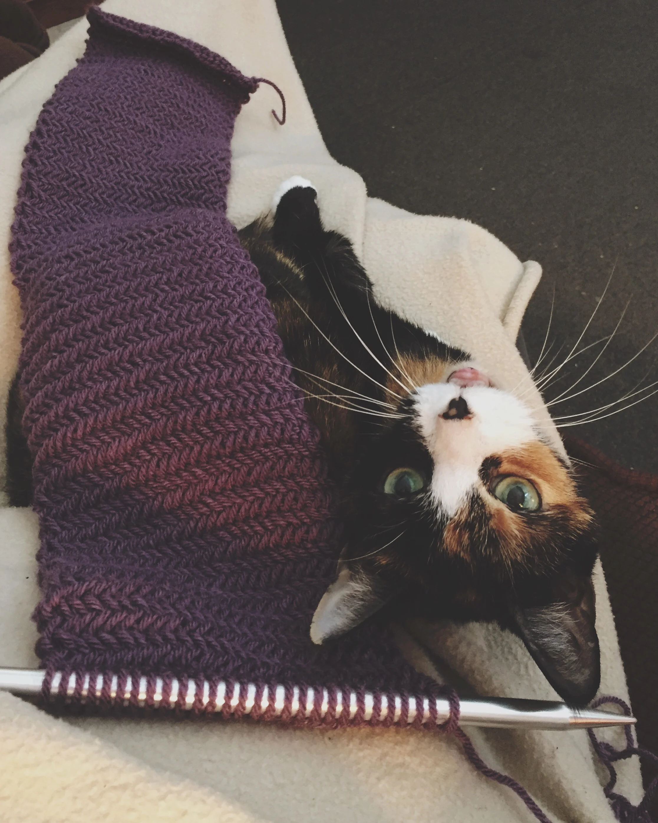  Herringbone scarf. Size 15 straight needles. 