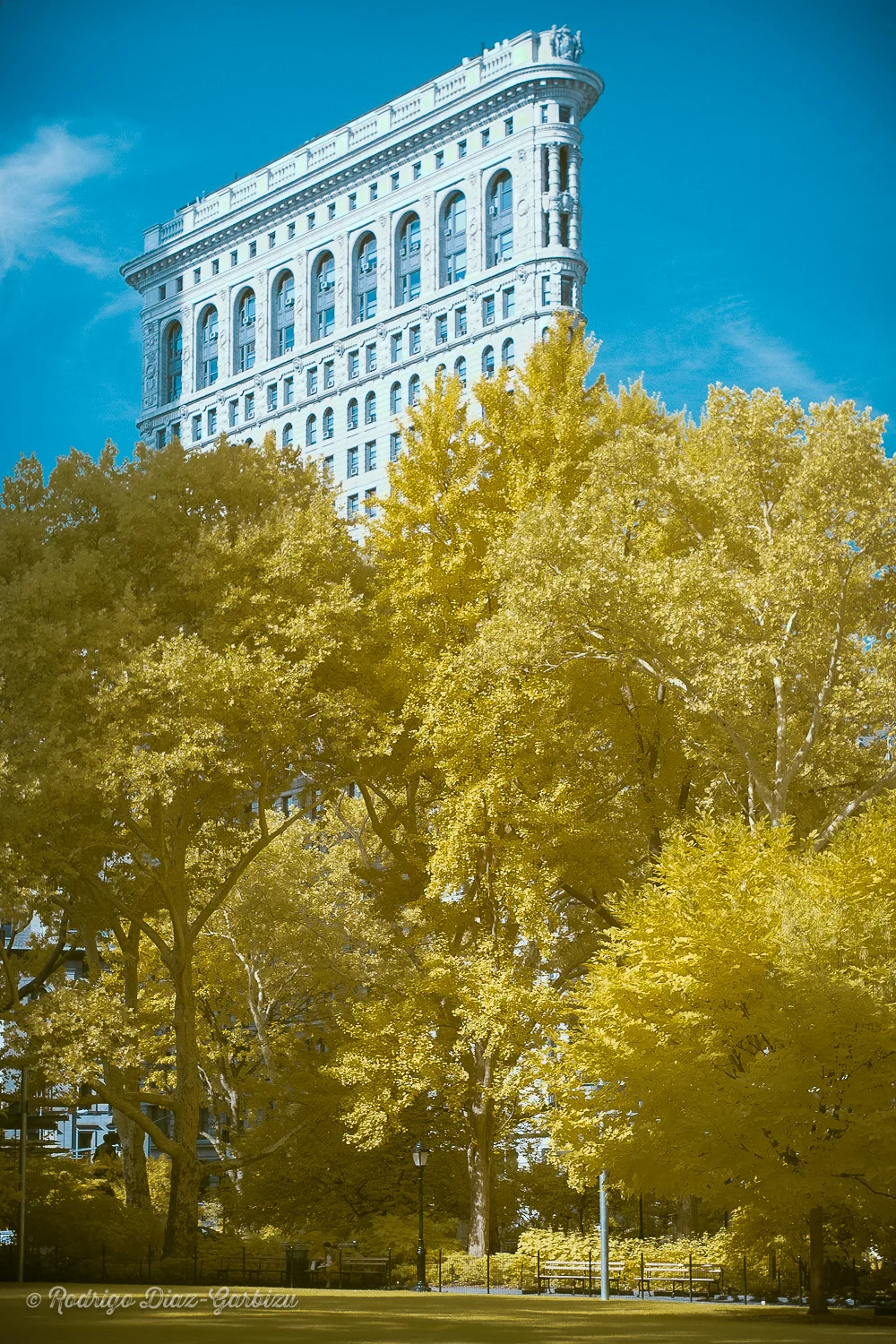 20150728-091236-_MG_3707-Edit.jpg