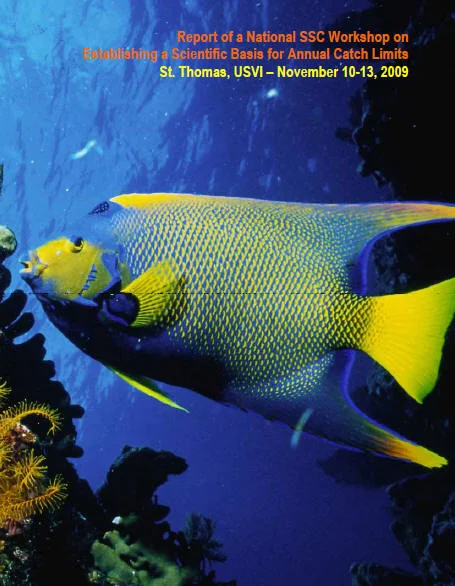 Second National SSC Workshop (2009)