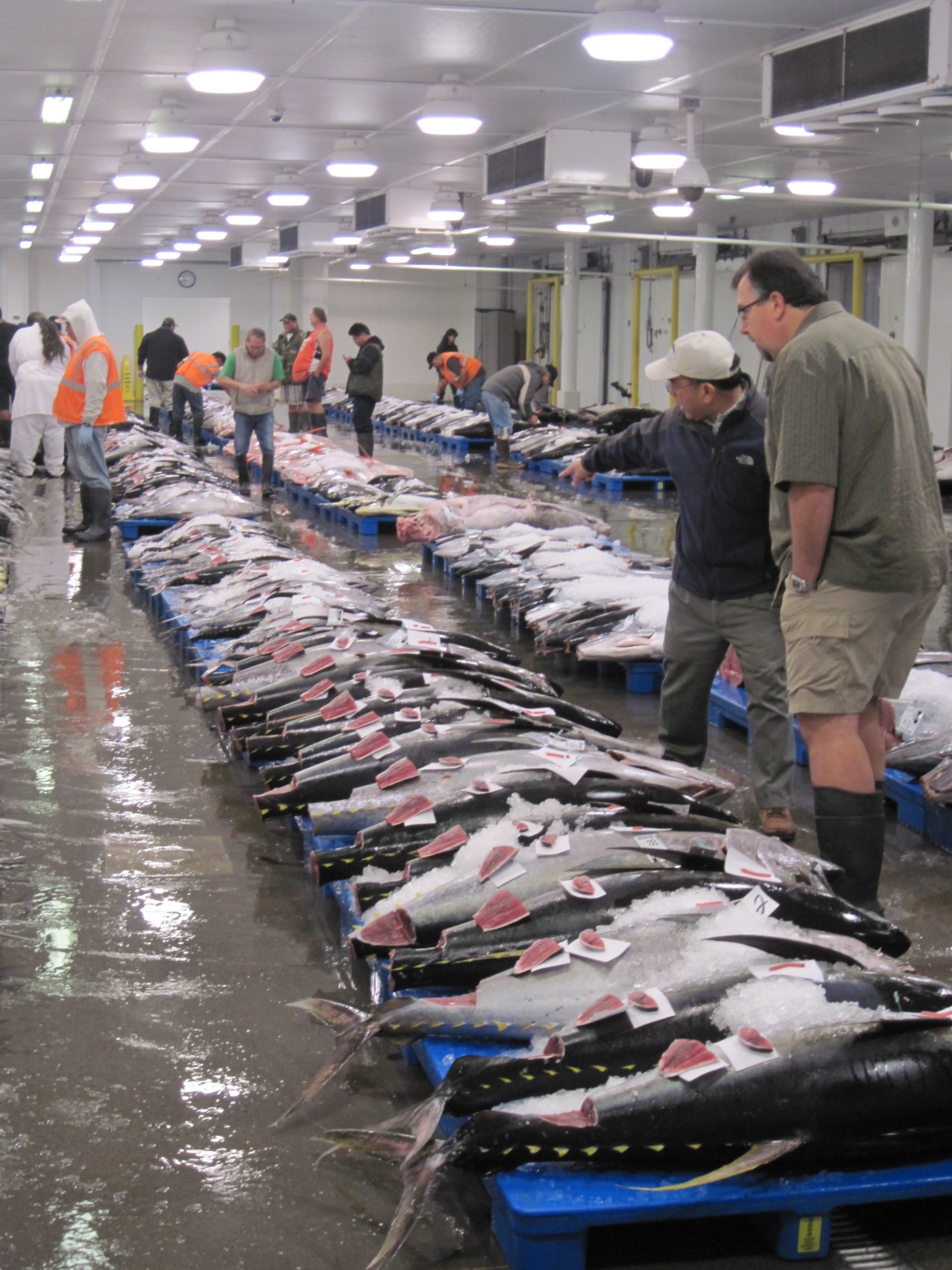 Western Pacific — U.S. Regional Fishery Management Councils