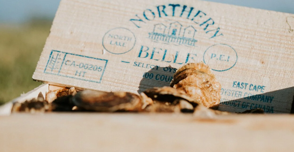 January Oyster of the Month