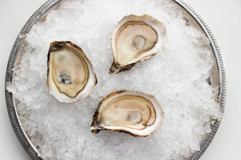 February Oyster of the Month