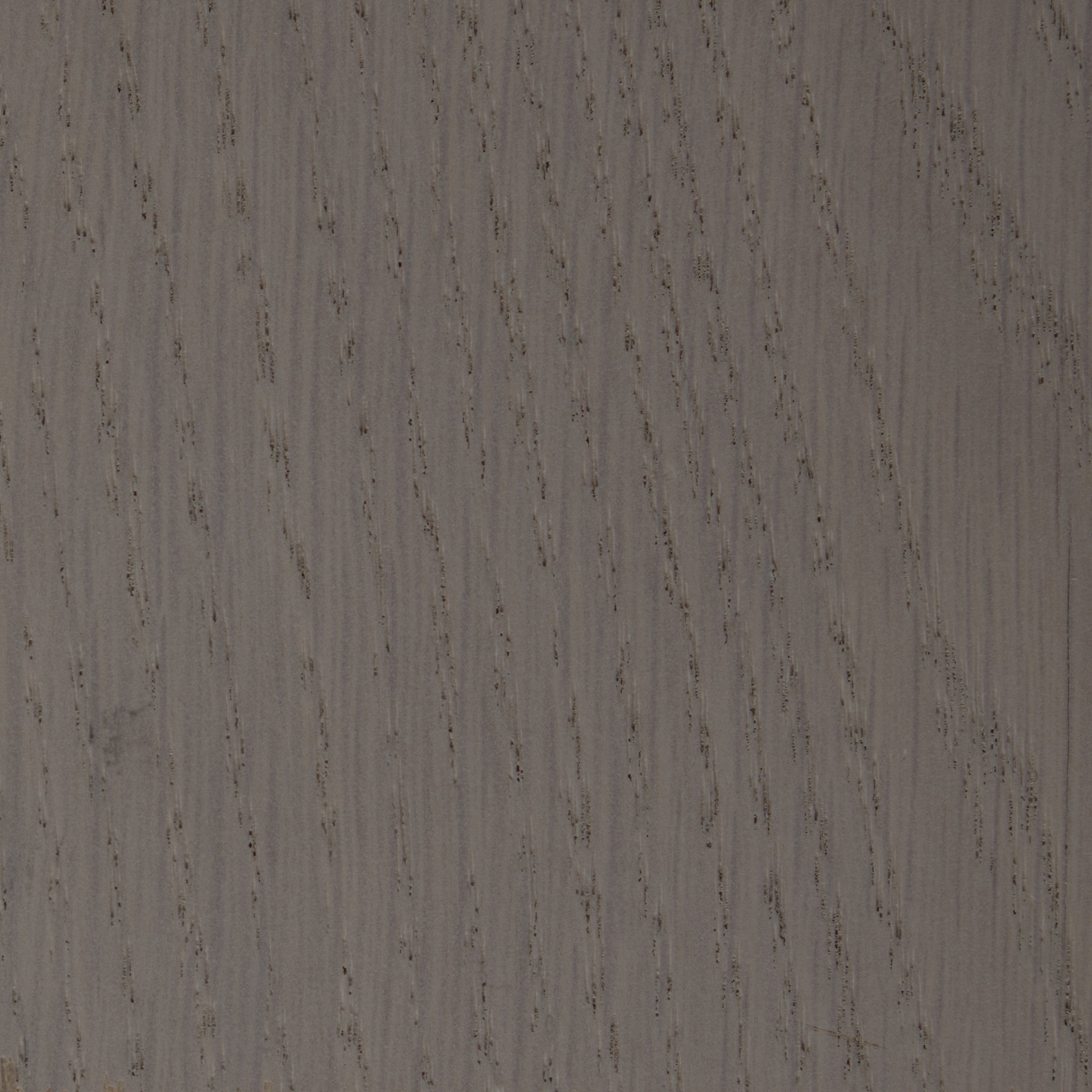 dunes-and-duchess-Oak Beach-sample.jpg
