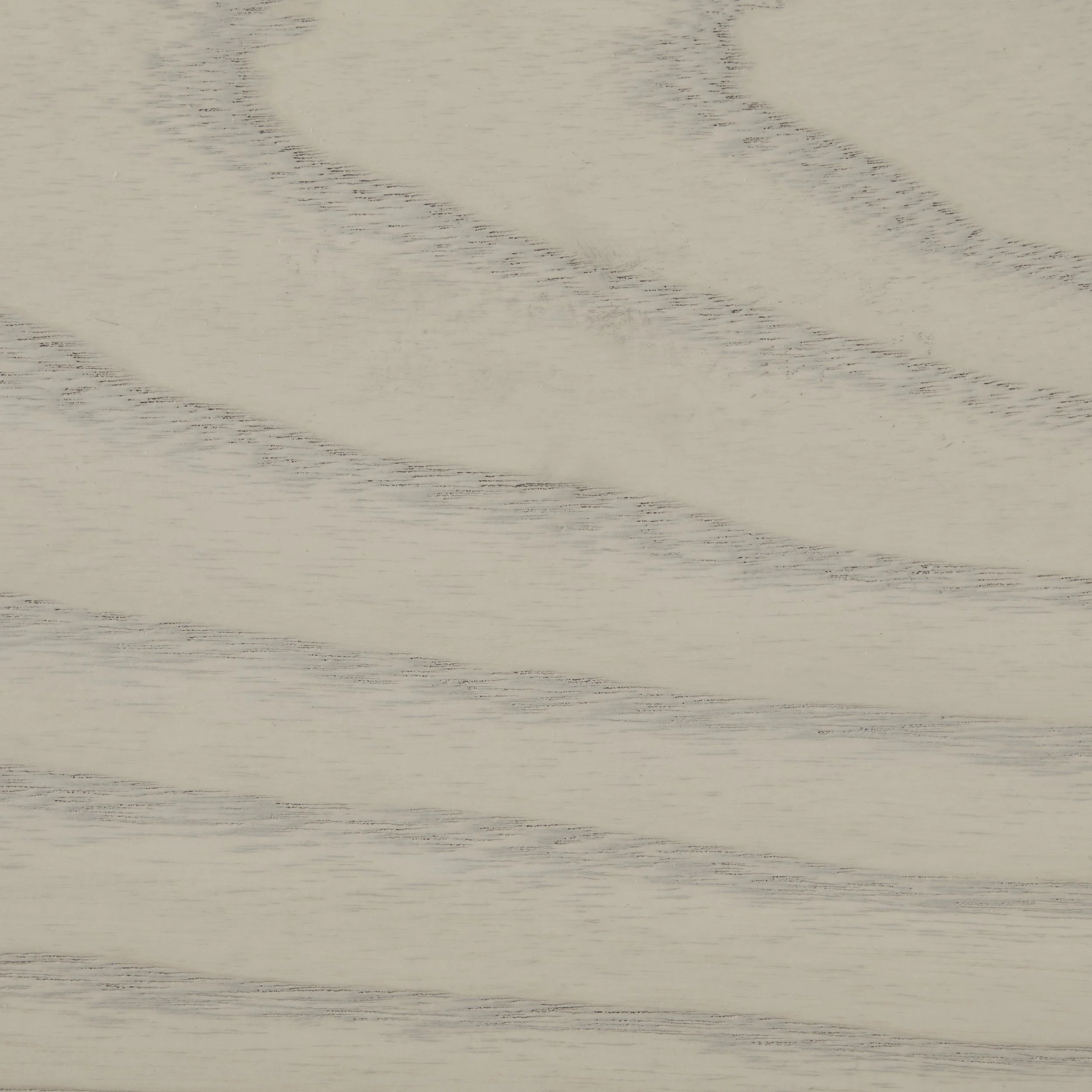 Ash with MS Stain SAMPLE