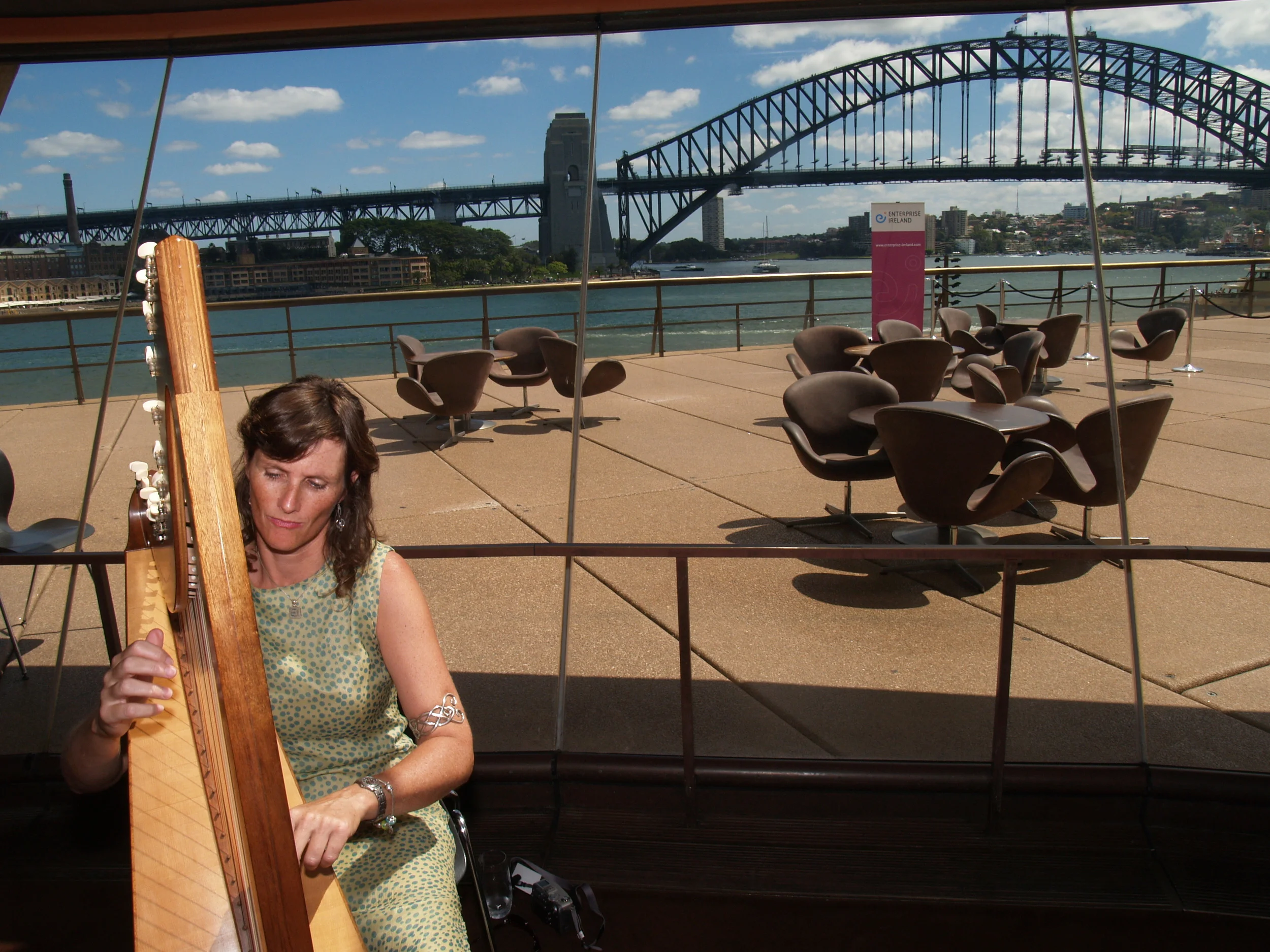 opera house enterprise ireland.JPG