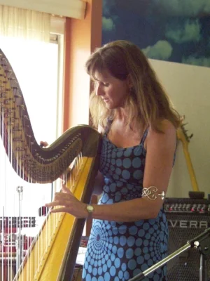 Rejigged tuning.jpg