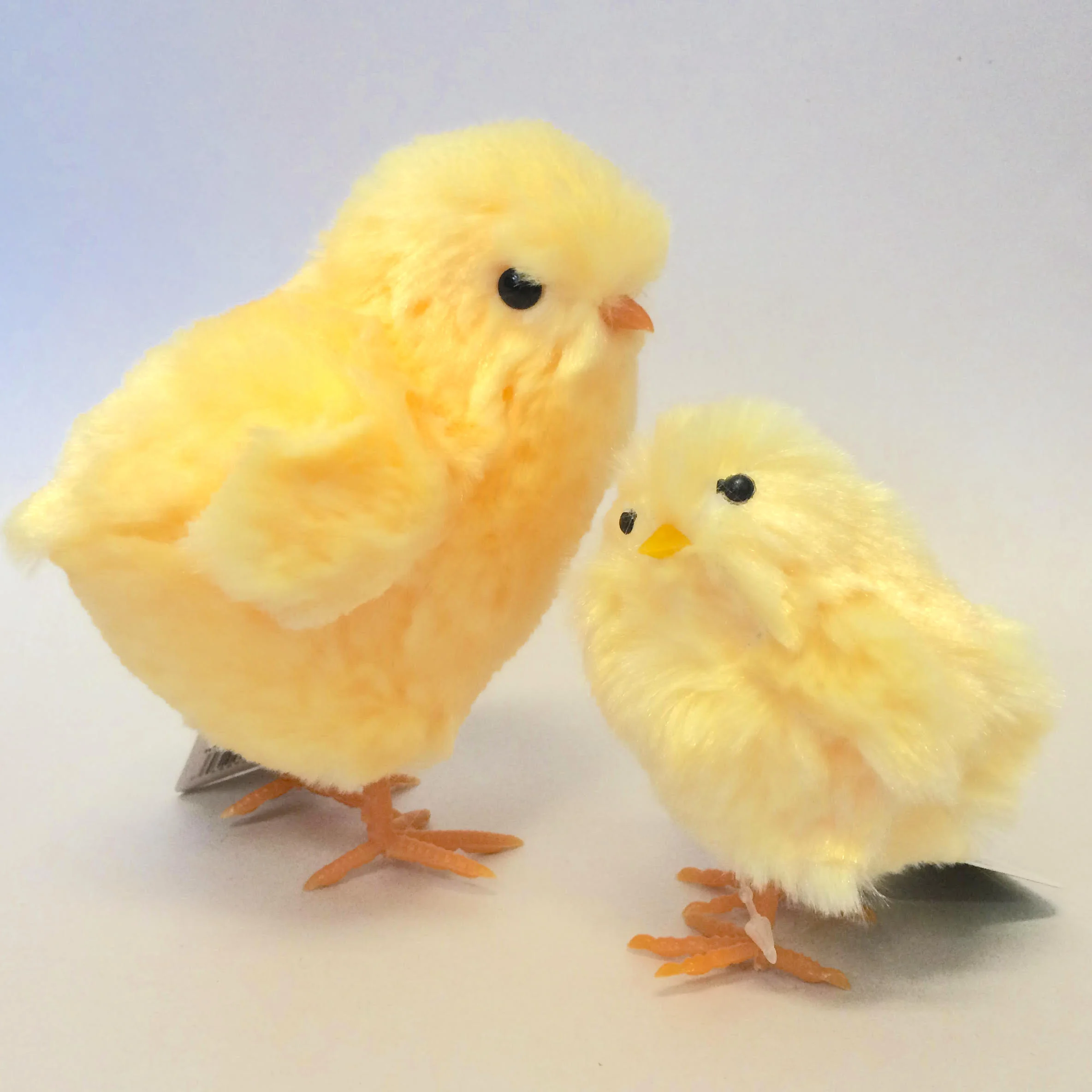 chicks.jpg