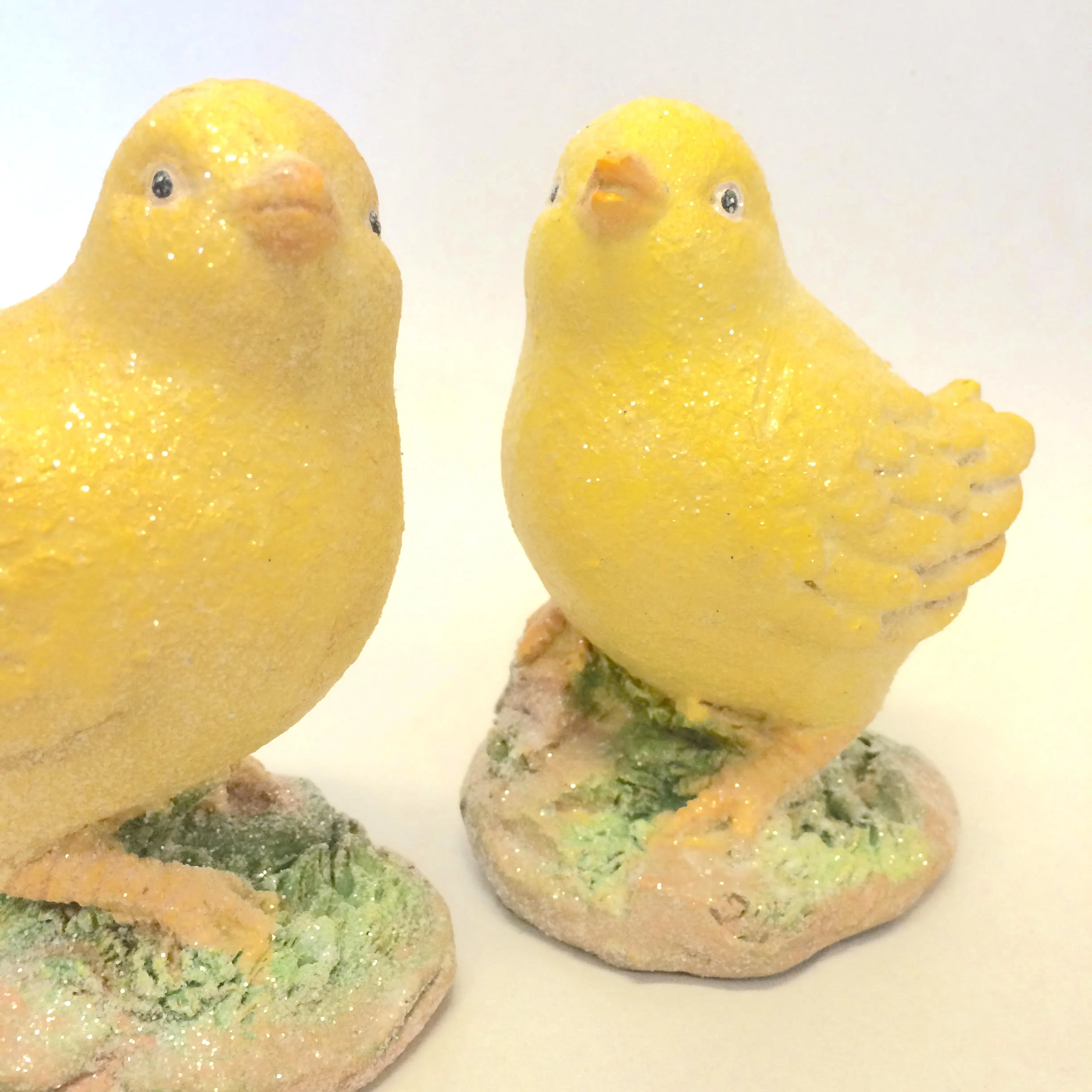twin chicks.jpg