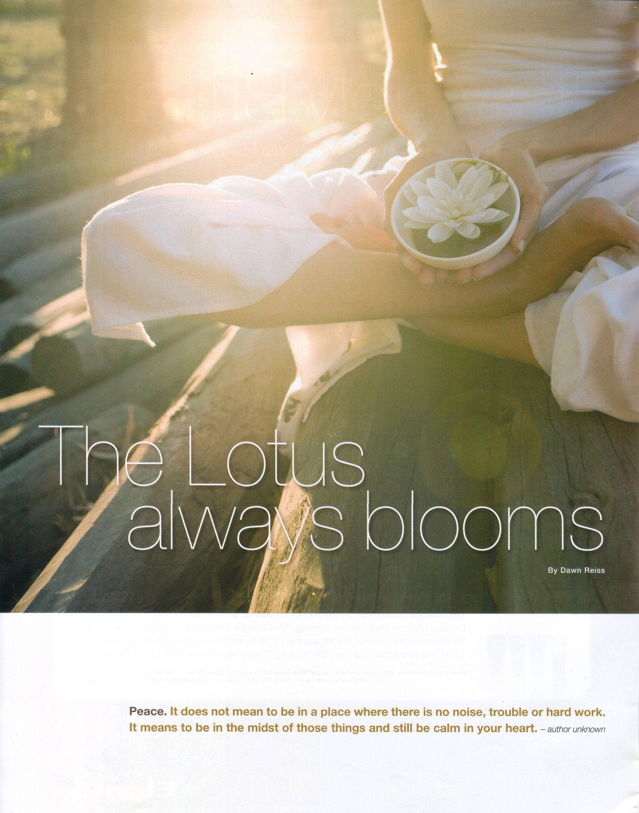 Time to Spa_The Lotus Always Blooms 1.jpg