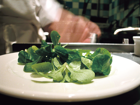 salad_plating.png