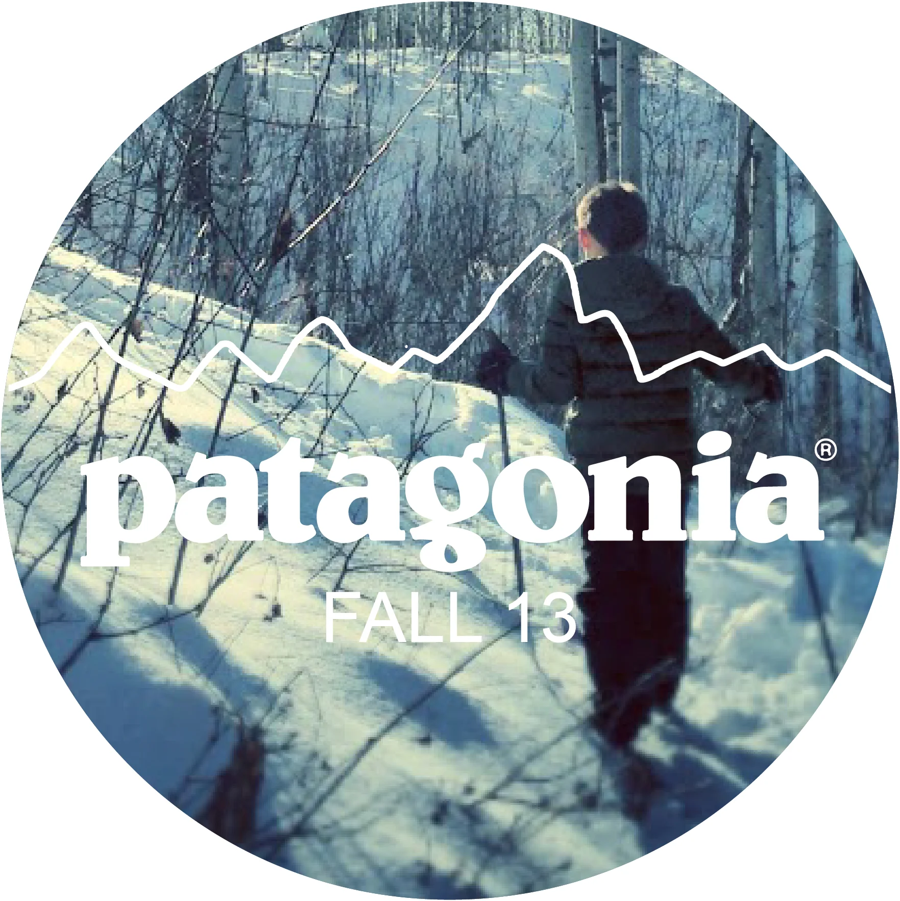 patagonia f13 button.jpg