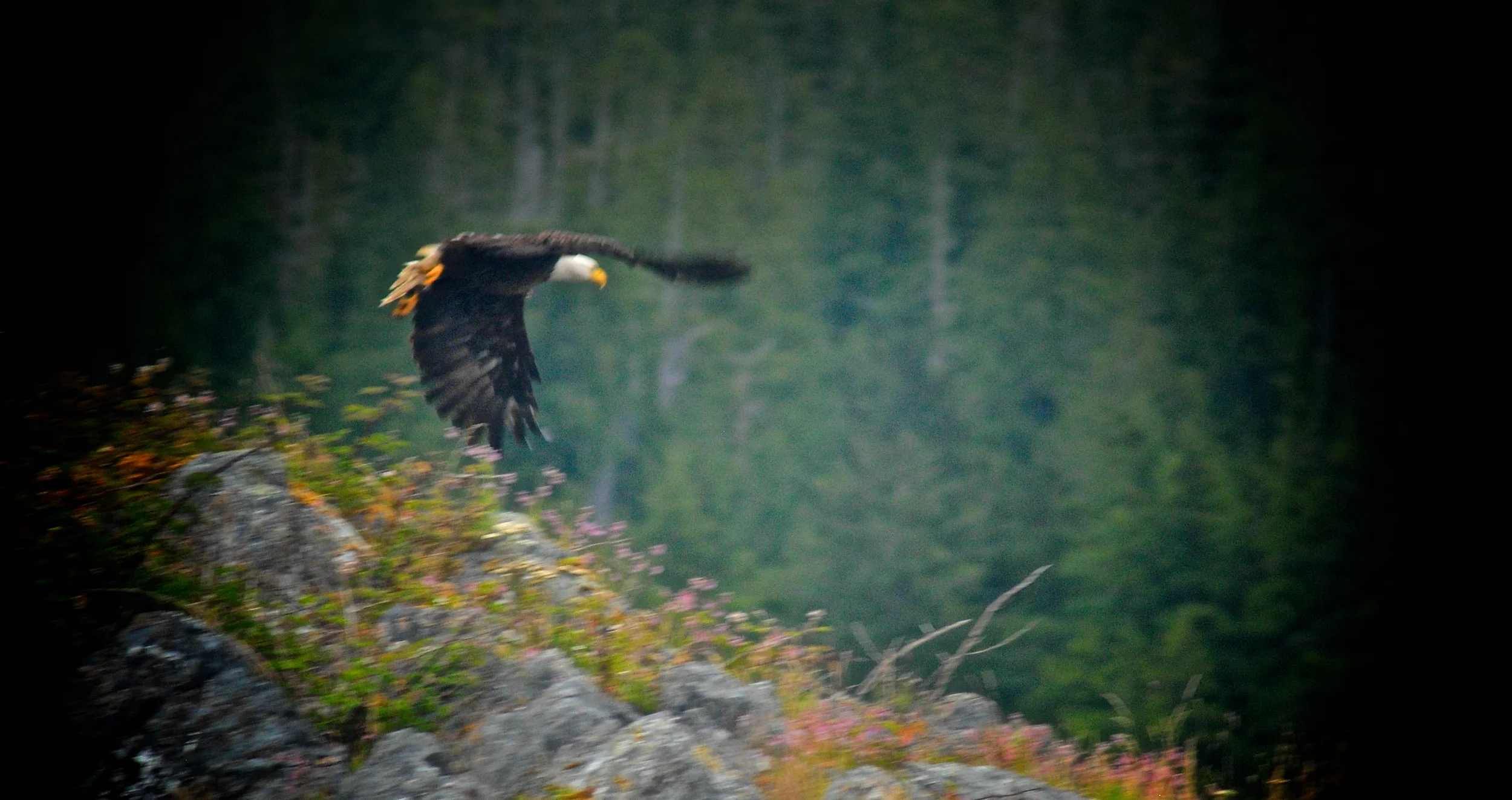DSC_0021.jpg