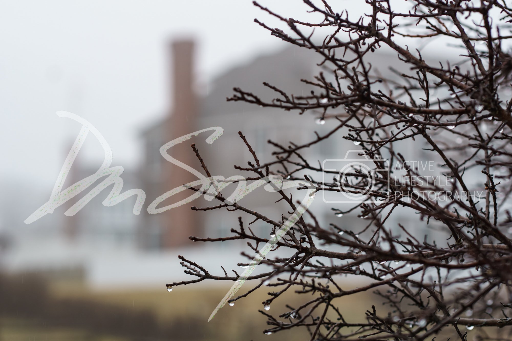 DanSmargPhotography.com-Chateaux-Relais-Castle-Hill-Inn-Collection-147.jpg