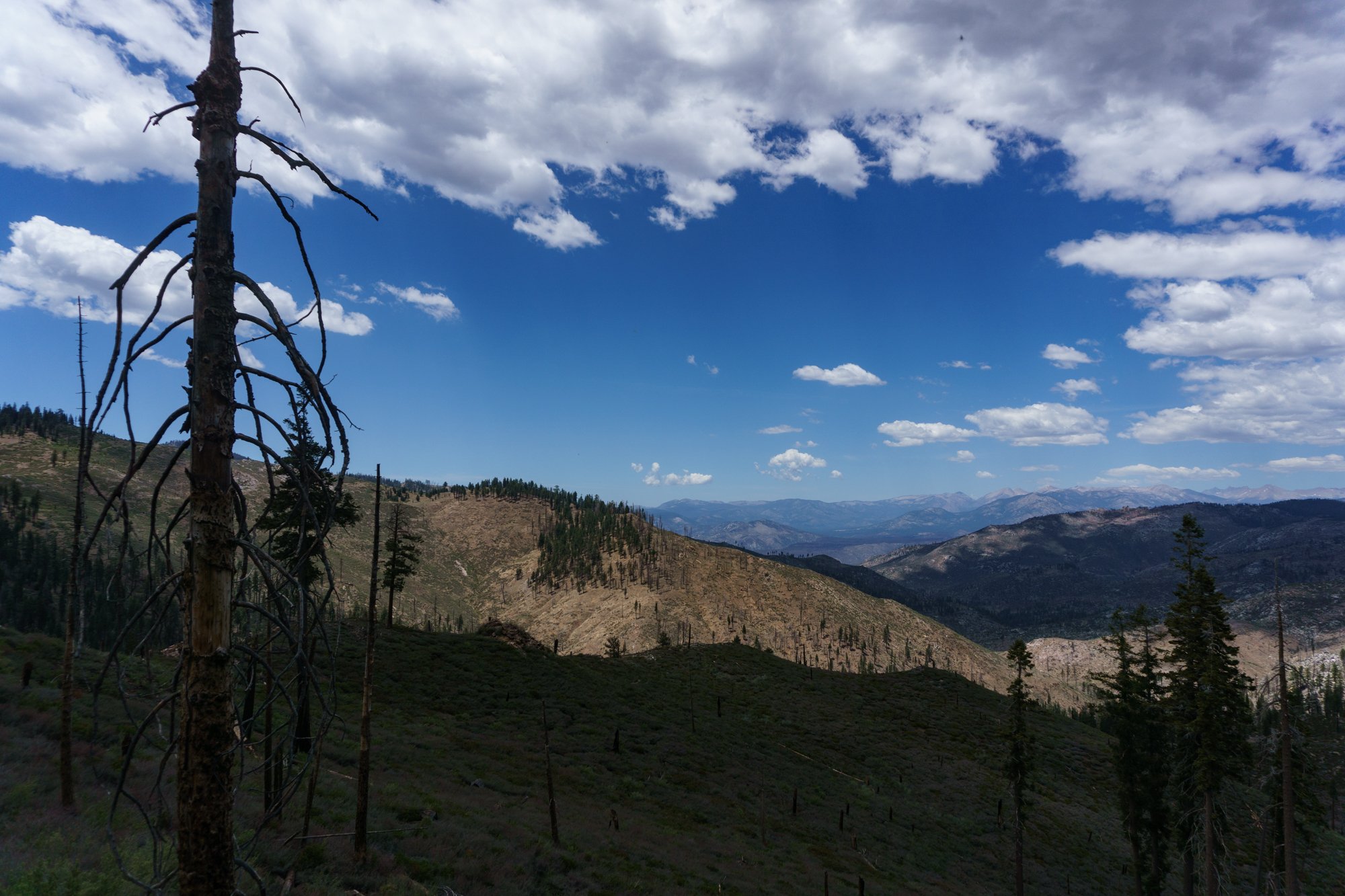 DanSmargPhotography.com-Lifestyle-Portraits-AirBnB-Experience-4x4-Overlanding-Adventure-Inyo-National-Forest-37.jpg