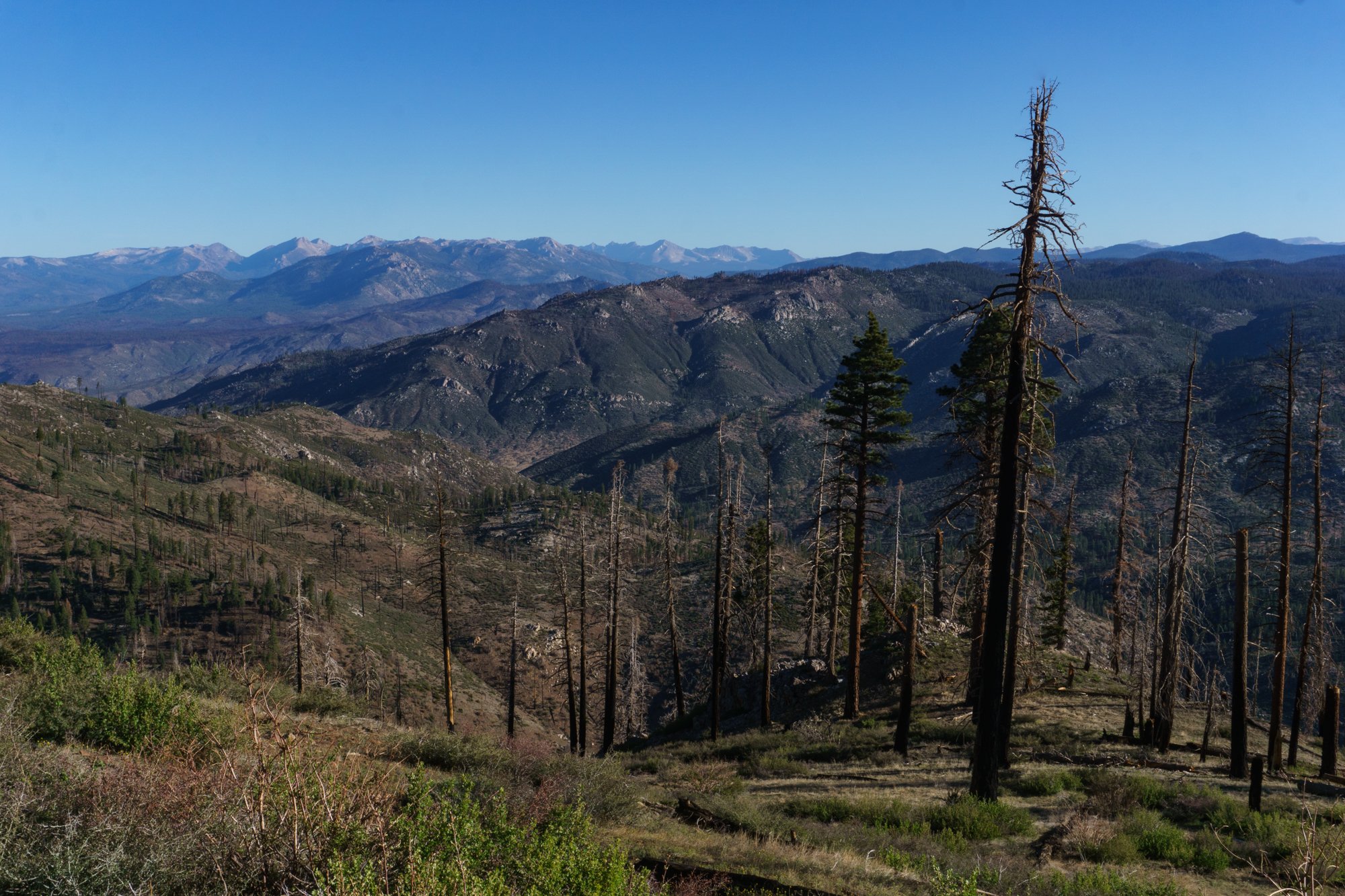 DanSmargPhotography.com-Lifestyle-Portraits-AirBnB-Experience-4x4-Overlanding-Adventure-Inyo-National-Forest-33.jpg