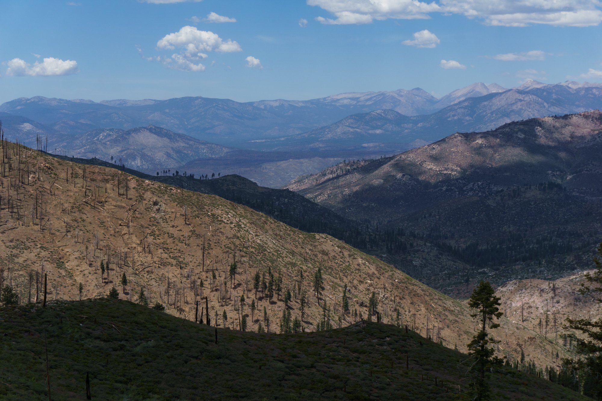DanSmargPhotography.com-Lifestyle-Portraits-AirBnB-Experience-4x4-Overlanding-Adventure-Inyo-National-Forest-38.jpg