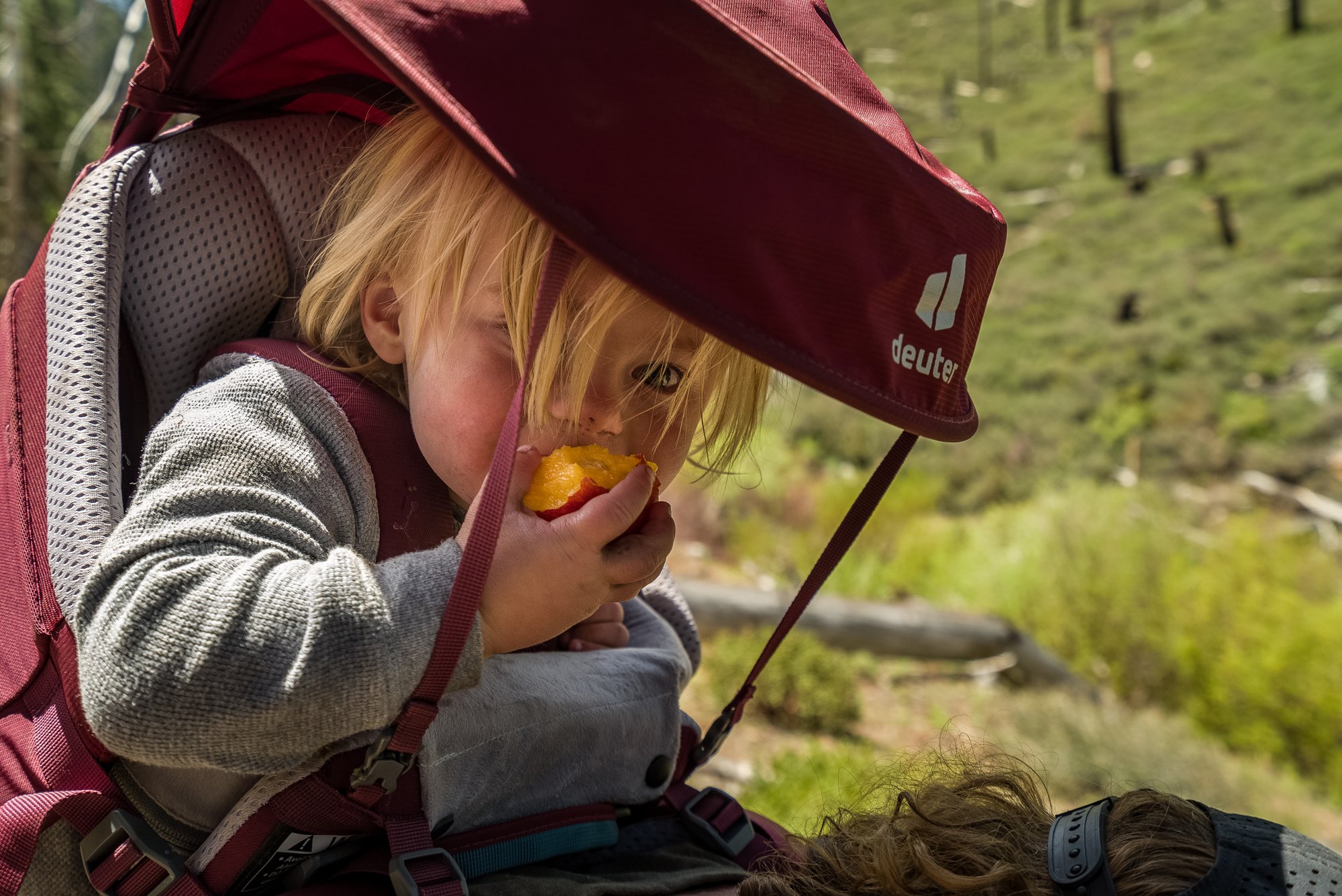 DanSmargPhotography.com-Lifestyle-Portraits-AirBnB-Experience-4x4-Overlanding-Adventure-Inyo-National-Forest-58.jpg