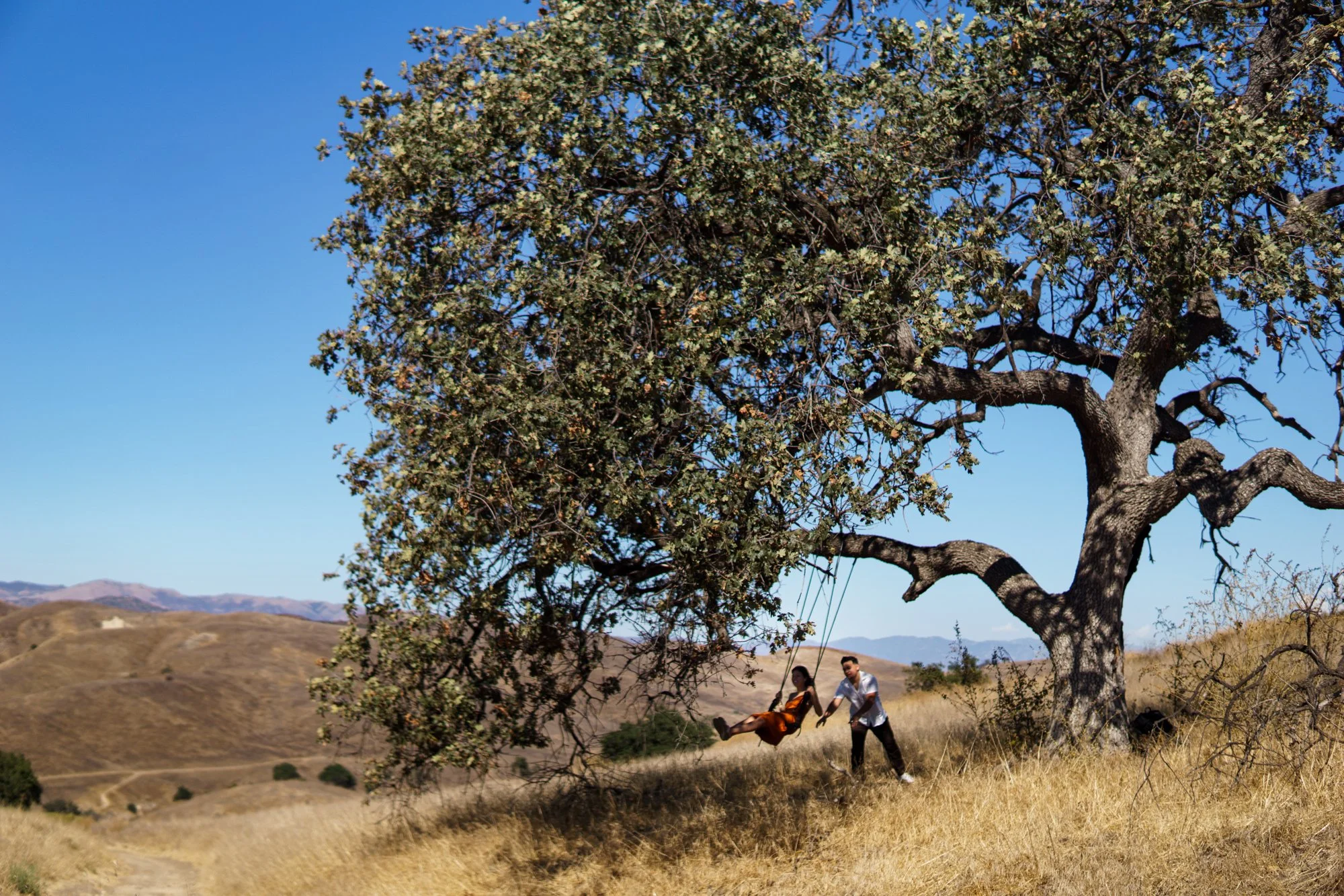 DanSmargPhotography.com-Airbnb-Experiences-Southern-California-Sunset-Tree-Swing-9.25.22-042.jpg
