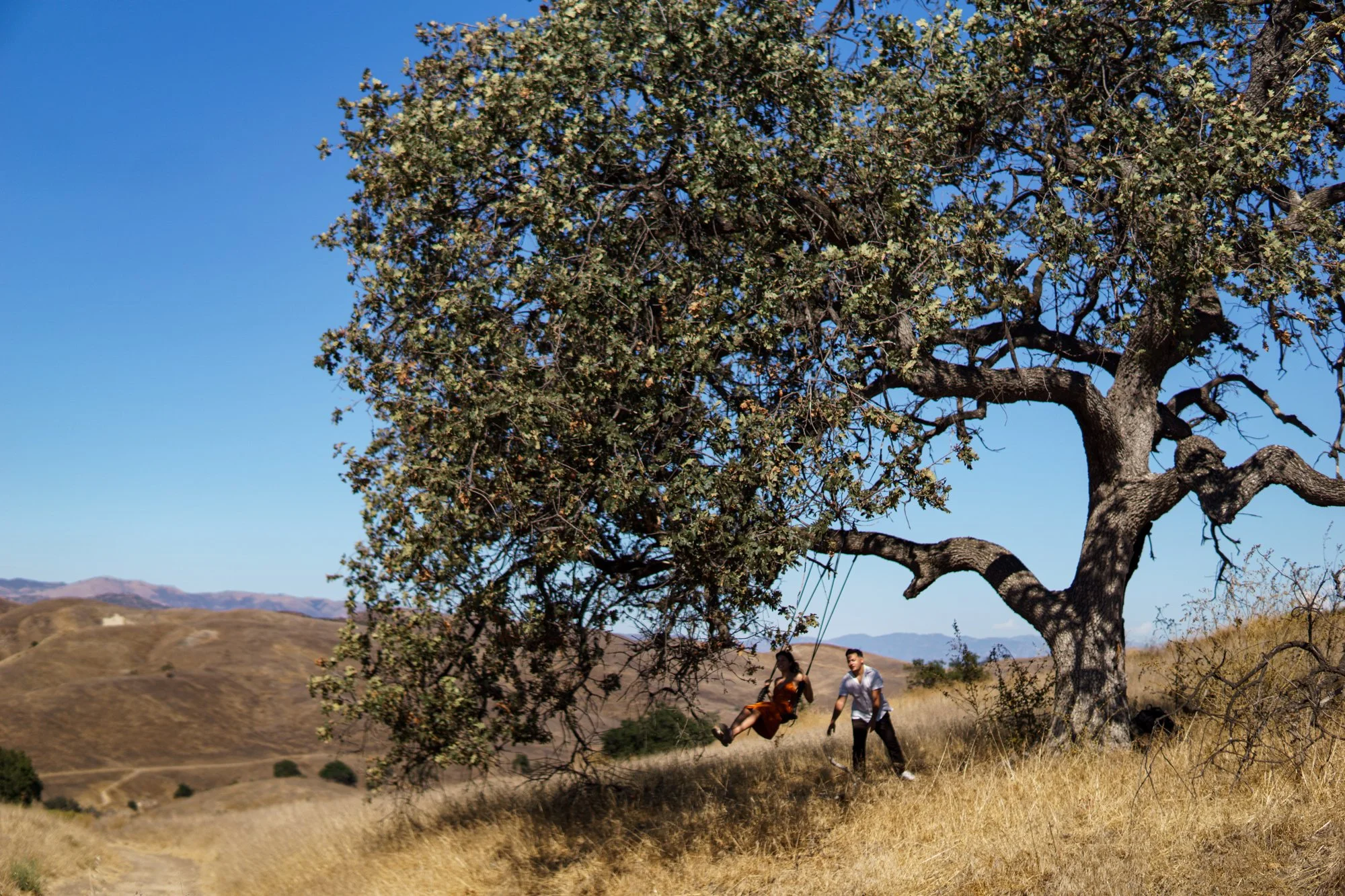 DanSmargPhotography.com-Airbnb-Experiences-Southern-California-Sunset-Tree-Swing-9.25.22-043.jpg