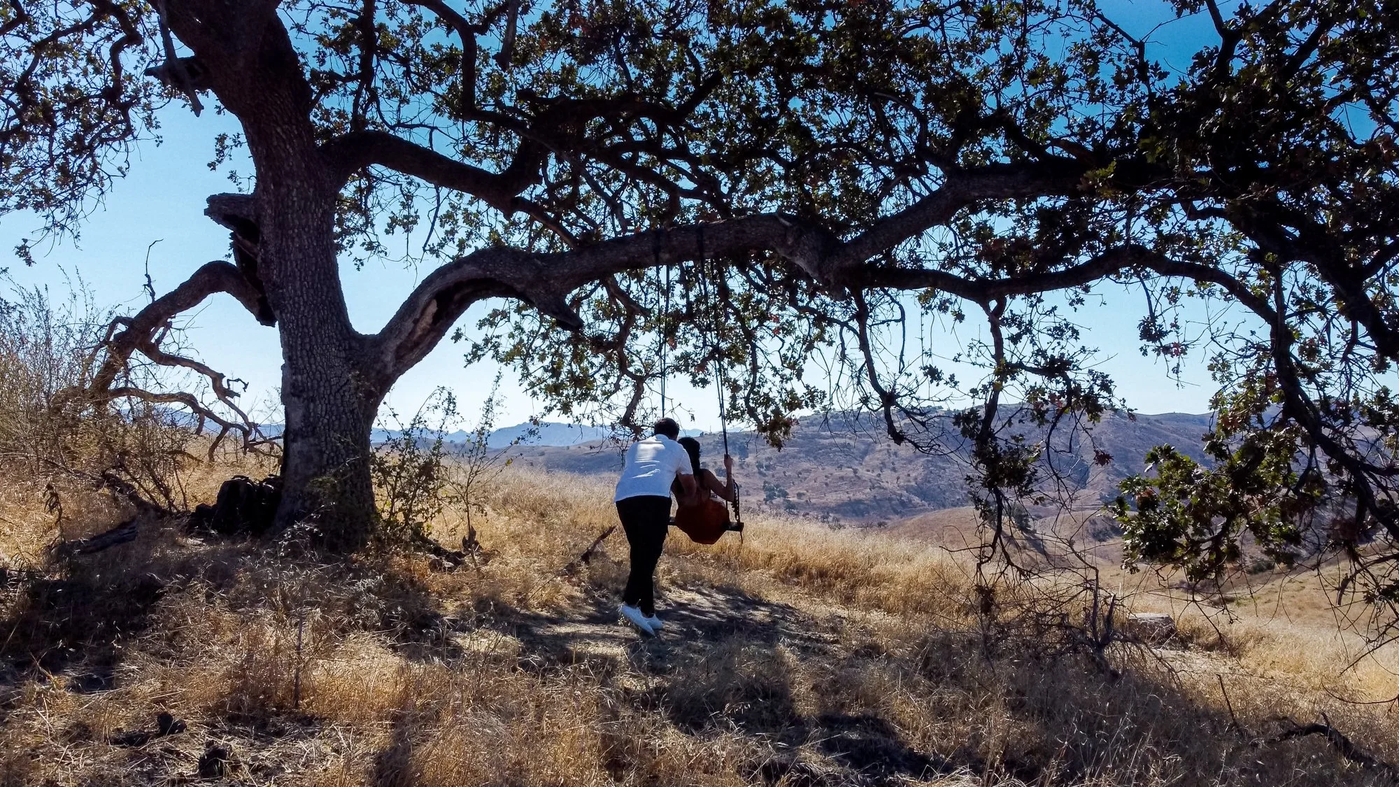 DanSmargPhotography.com-Airbnb-Experiences-Southern-California-Sunset-Tree-Swing-9.25.22-114.jpg