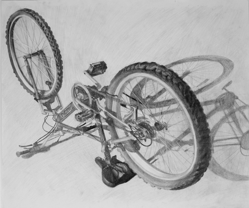 Bicycle Form Study