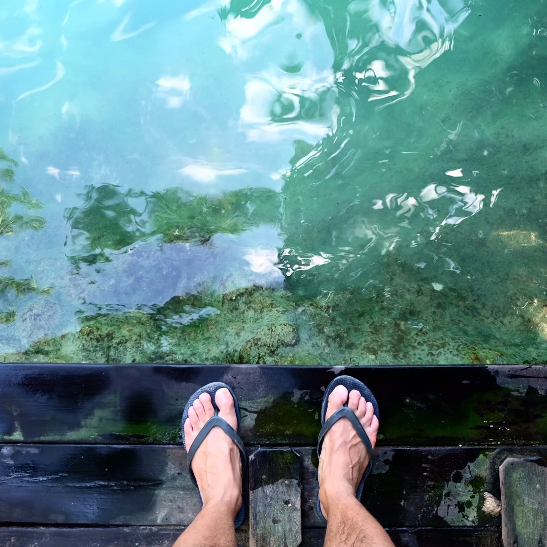 IMG_0292.JPG