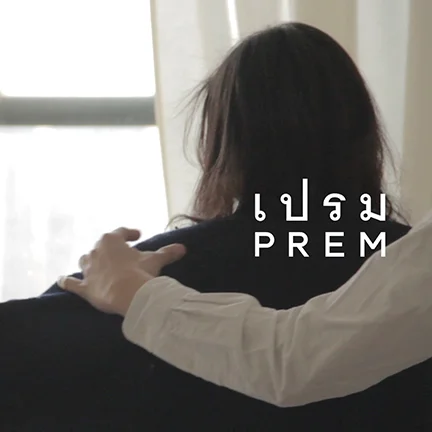 Thumbnail_styling_prem vdo.jpg