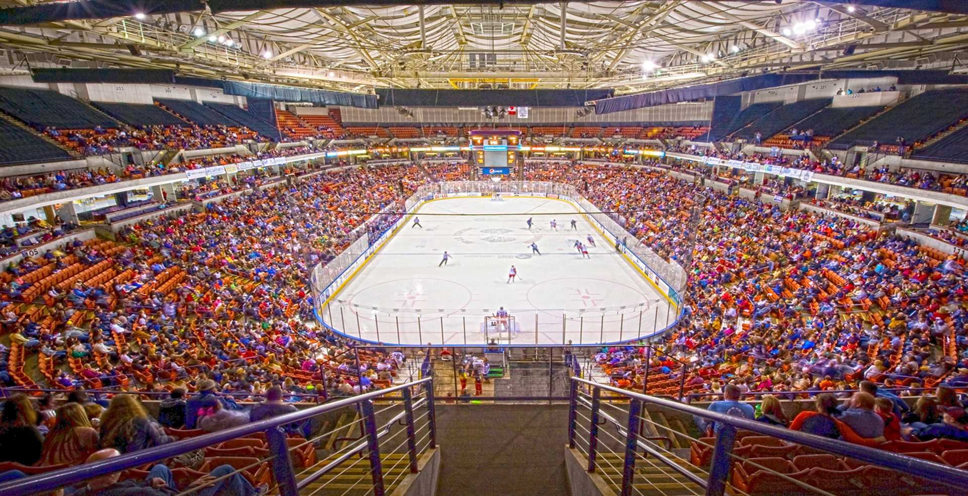 Greenville Swamp Rabbits in Greenville, SC (Photo thanks to Yeah That Greenvile’s article on the Greenville Swamp Rabbits)