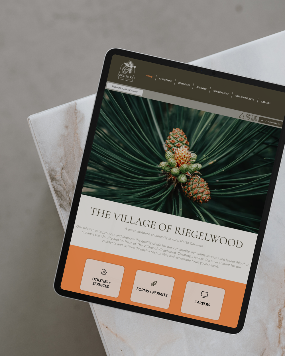 Village of Riegelwood website