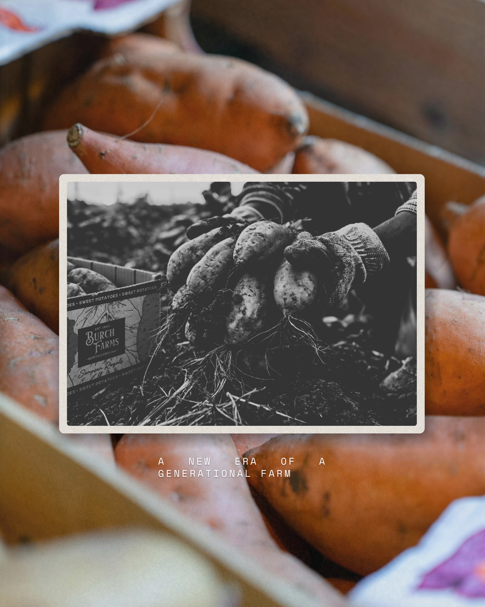 Burch Farms &mdash; a new era of a generational farm